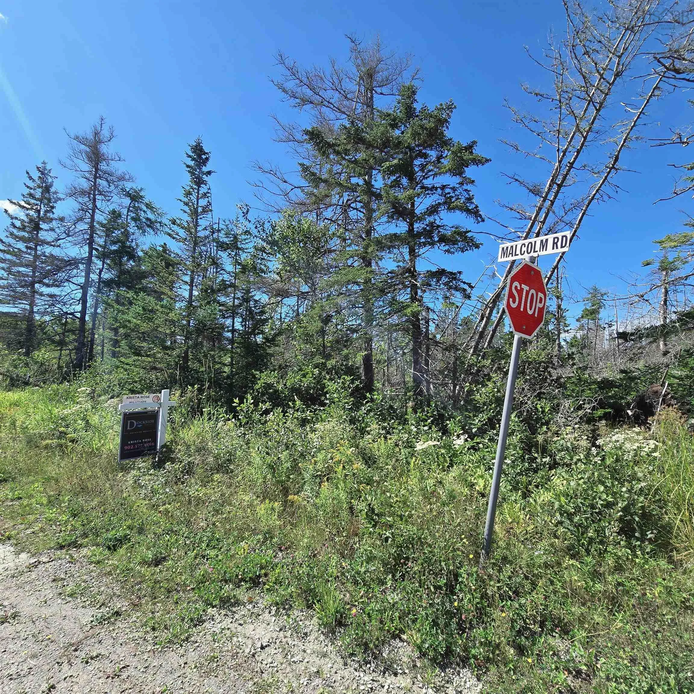 0 Brickyard Road, Albert Bridge, NS B1K 2T7, ,Land,For Sale,Brickyard,202522191