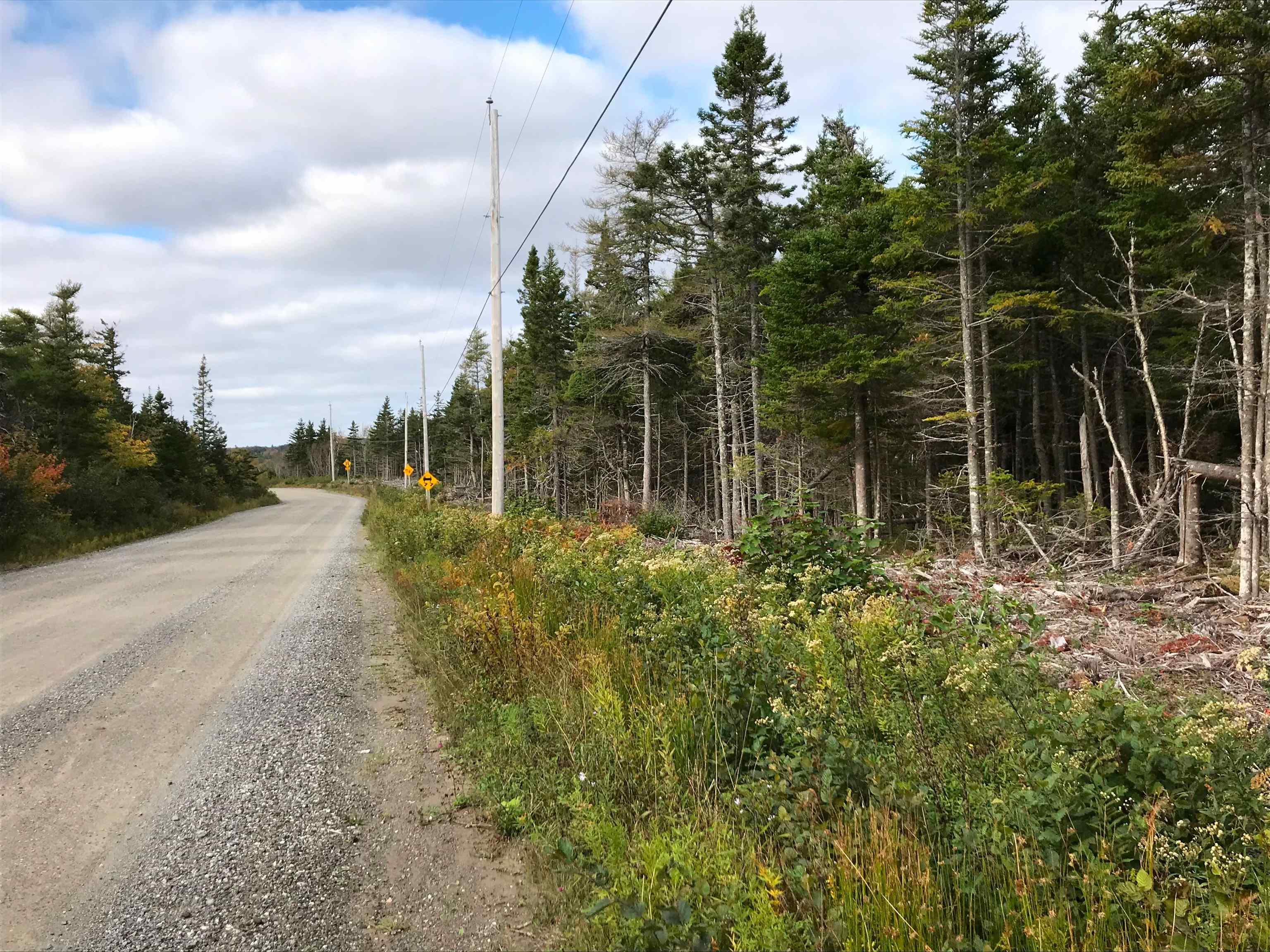 0 South Head Road, Homeville NS B1B 0A1, ,Land,For Sale,South Head,202302951