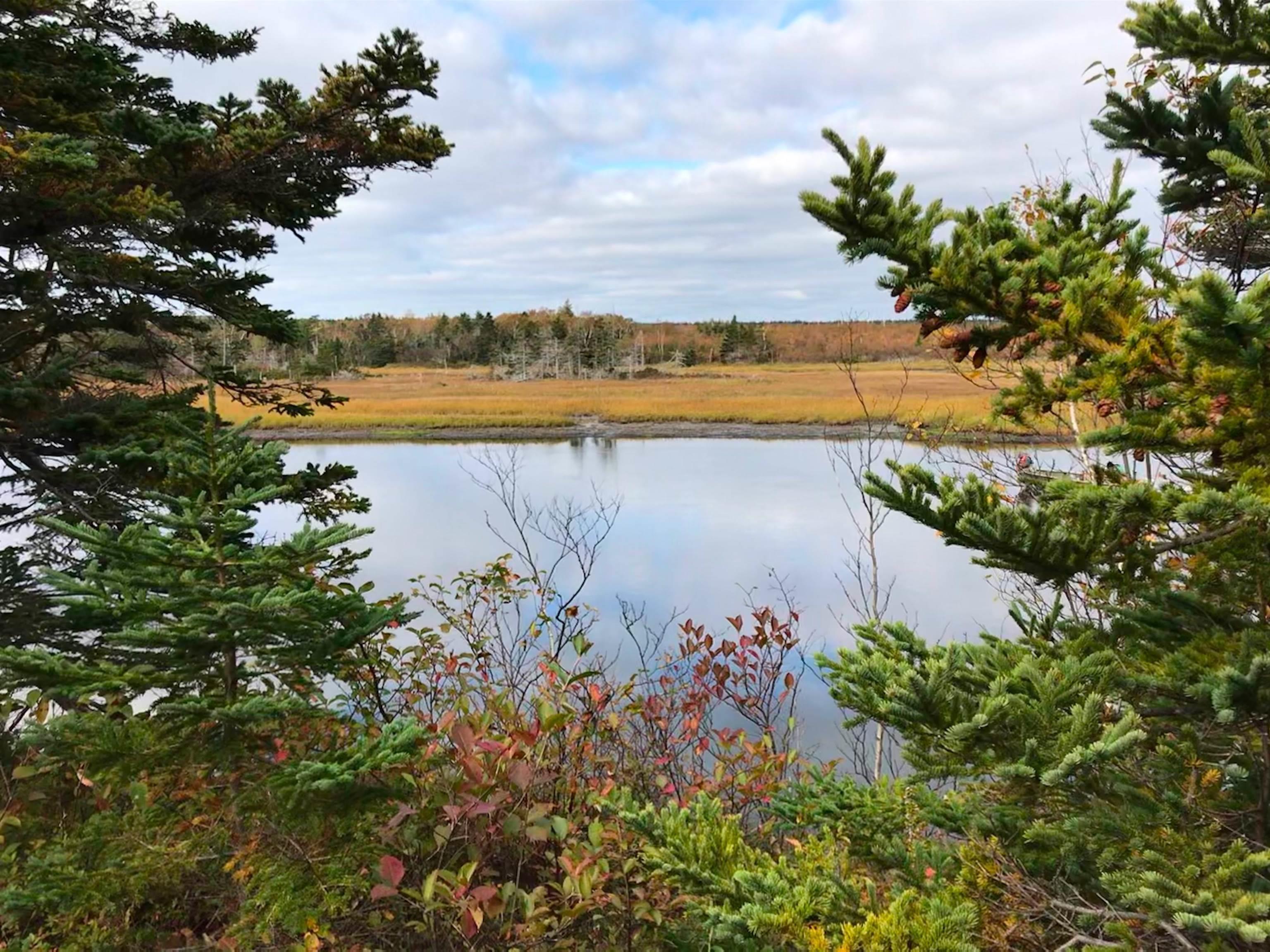 0 South Head Road, Homeville NS B1B 0A1, ,Land,For Sale,South Head,202302951