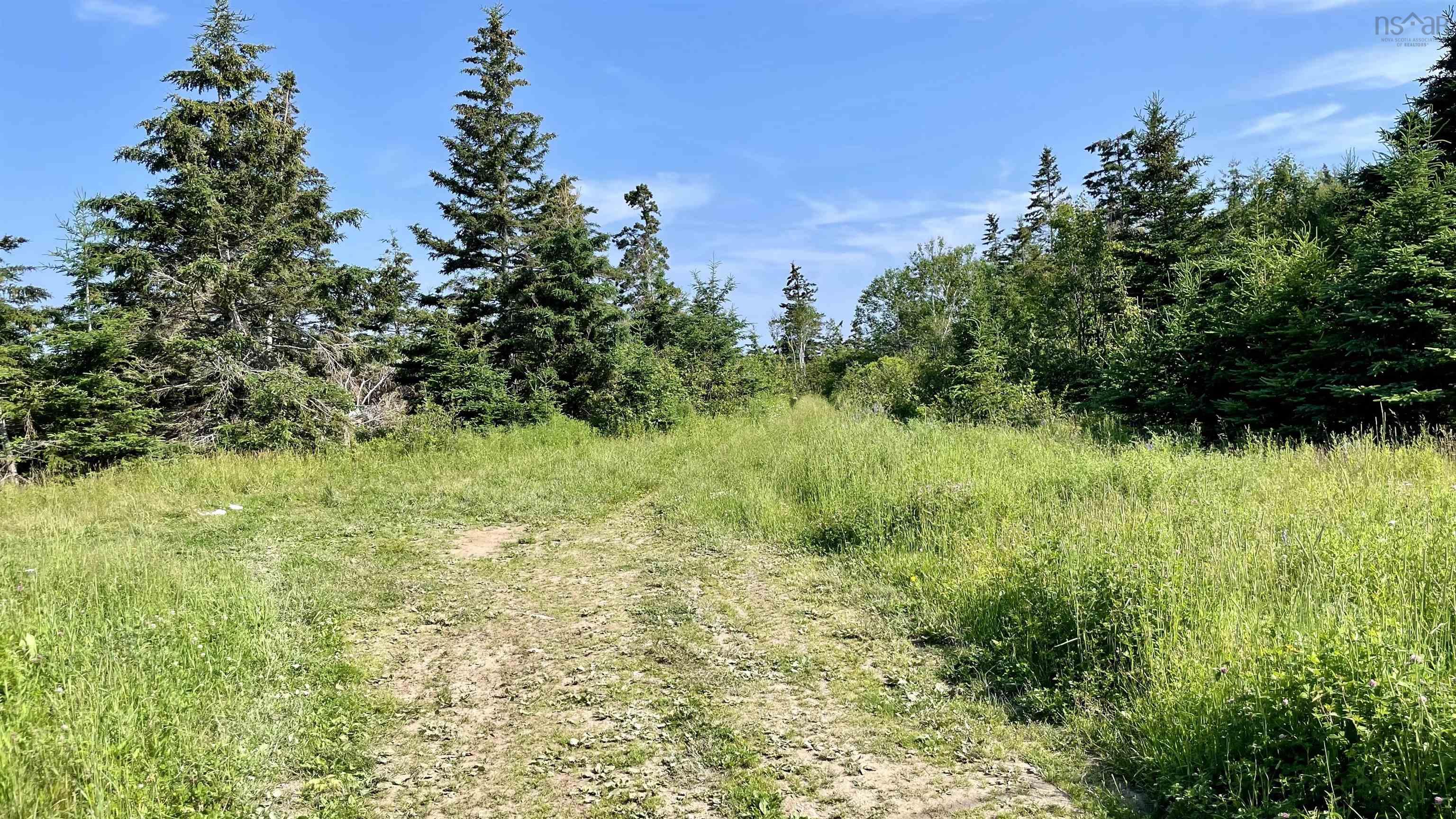 0 South Head Road, Homeville NS B1B 0A1, ,Land,For Sale,South Head,202302951