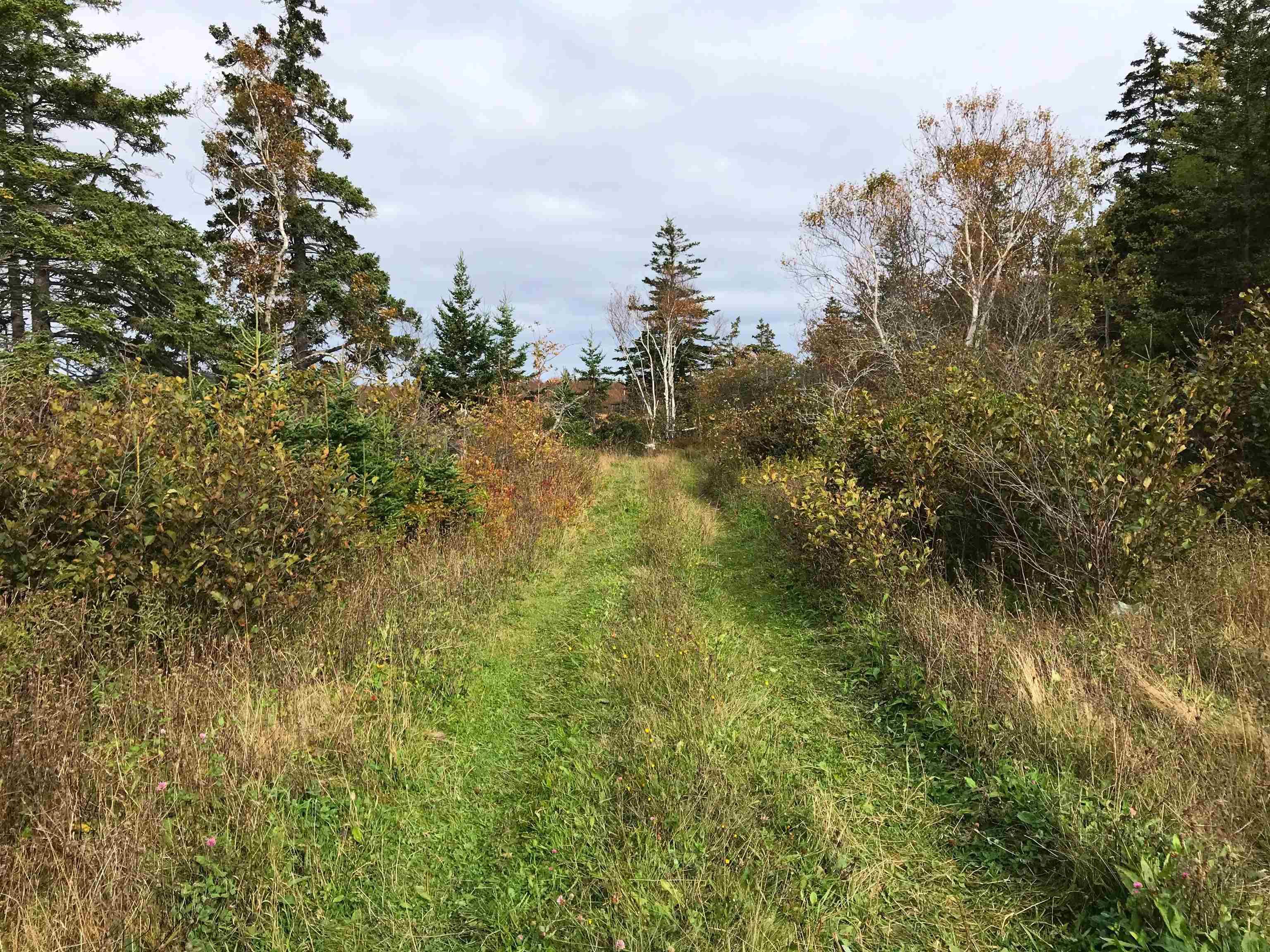0 South Head Road, Homeville NS B1B 0A1, ,Land,For Sale,South Head,202302951