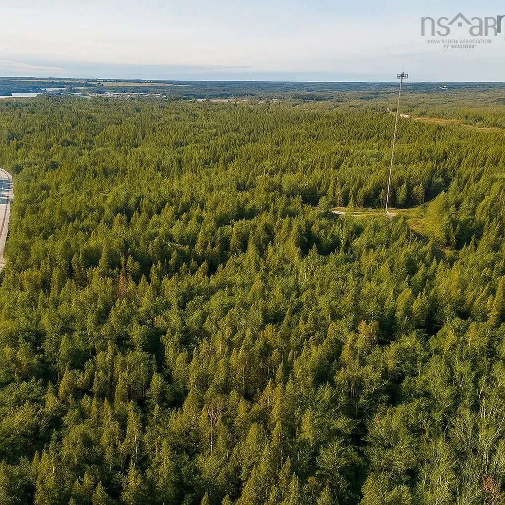 Dominique Road, Arcadia, NS B0W 1B0, ,Land,For Sale,Dominique,202522383