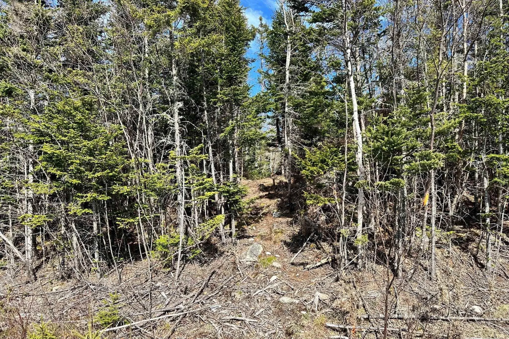 41 Blind Bay Drive Lot 209, Blind Bay Ns B3z 4c1, ,Land,For Sale,Blind Bay,202409024