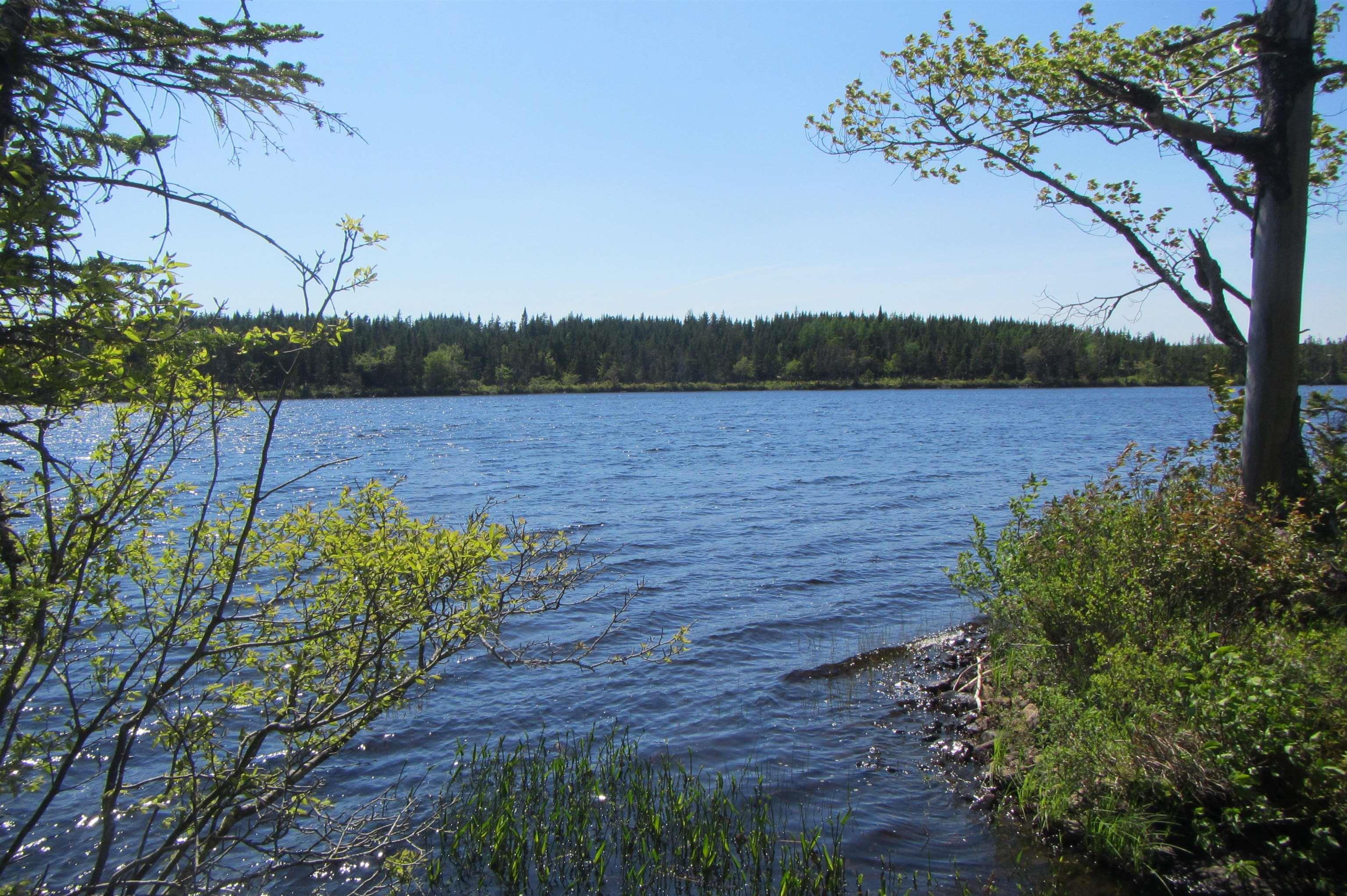 4-0 Canis Albus Lane, French Road NS B1K 2A1, ,Land,For Sale,Canis Albus,202218323