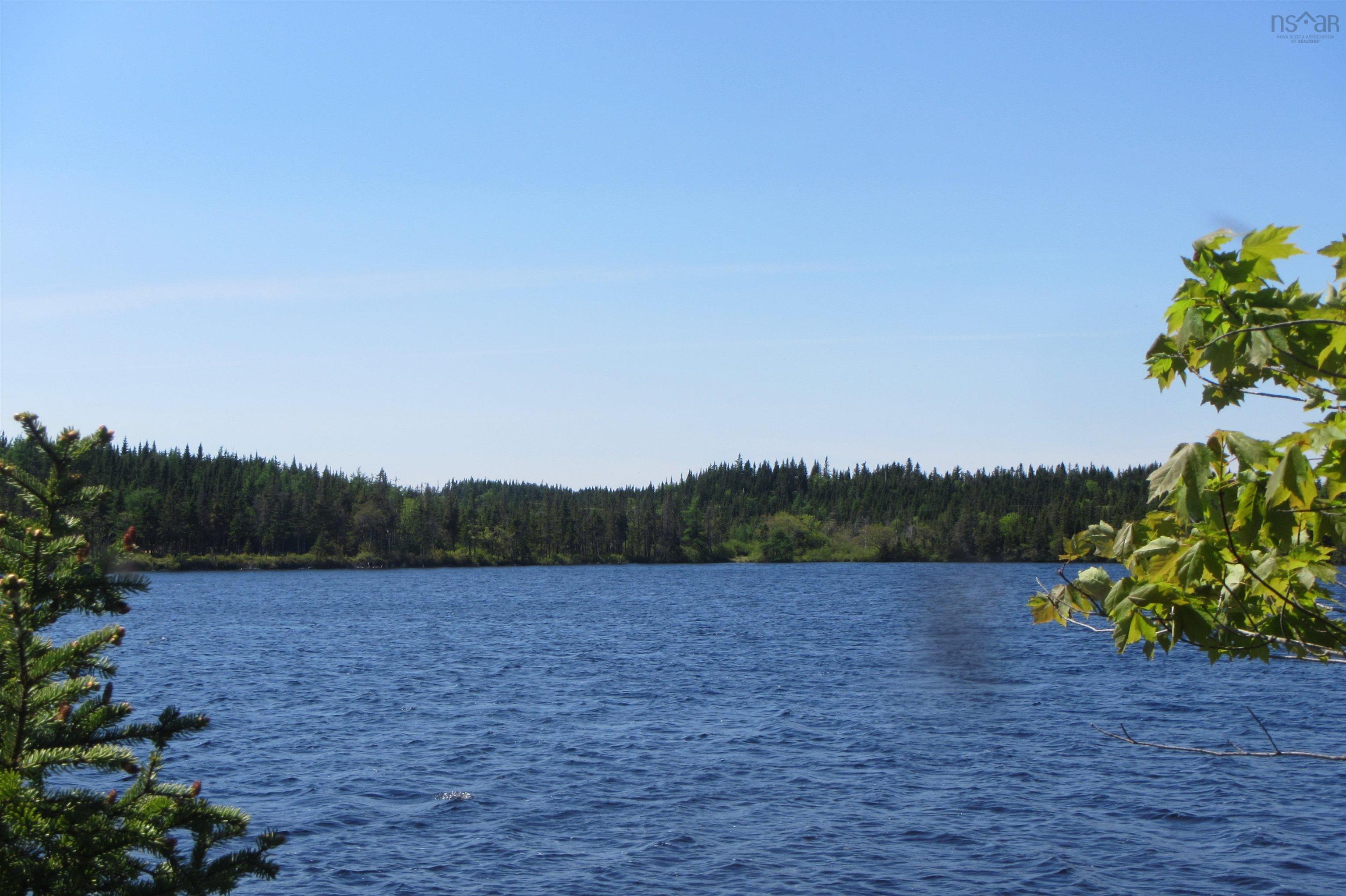 4-0 Canis Albus Lane, French Road NS B1K 2A1, ,Land,For Sale,Canis Albus,202218323