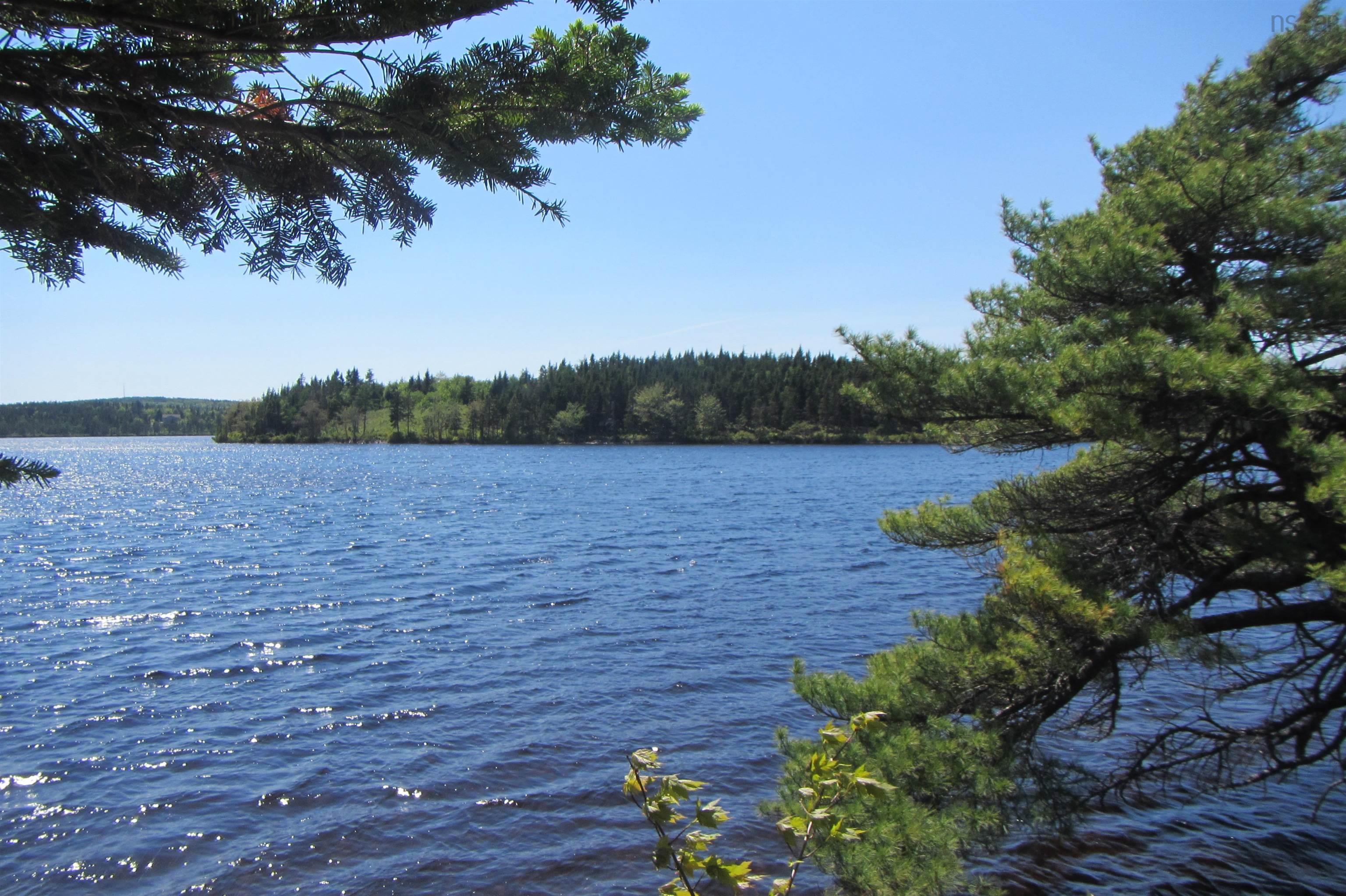 4-0 Canis Albus Lane, French Road NS B1K 2A1, ,Land,For Sale,Canis Albus,202218323