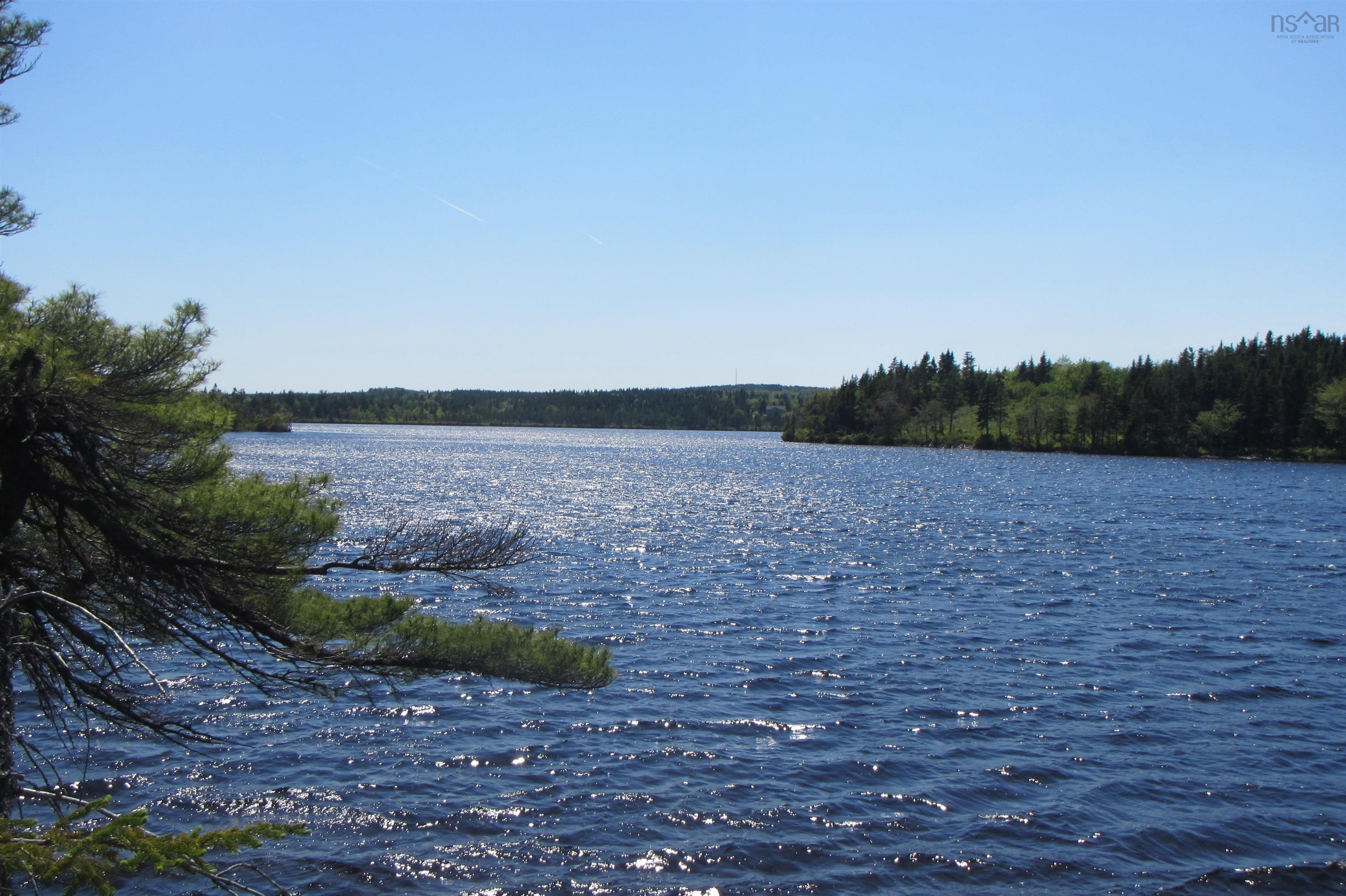 4-0 Canis Albus Lane, French Road NS B1K 2A1, ,Land,For Sale,Canis Albus,202218323