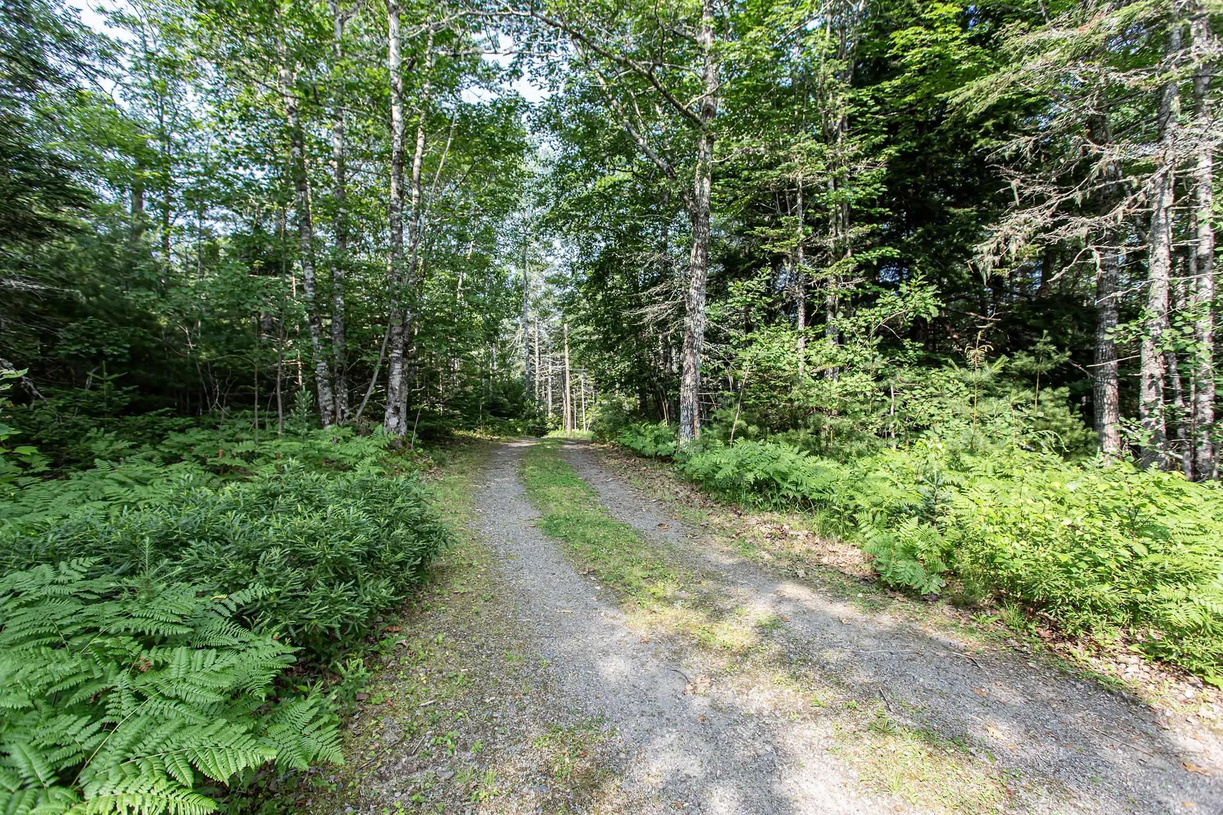 4464 Old Liverpool Road, Big Molly Upsim Lake, NS B0S 1P0, 2 Bedrooms Bedrooms, ,1 BathroomBathrooms,Residential,For Sale,Old Liverpool,202517477