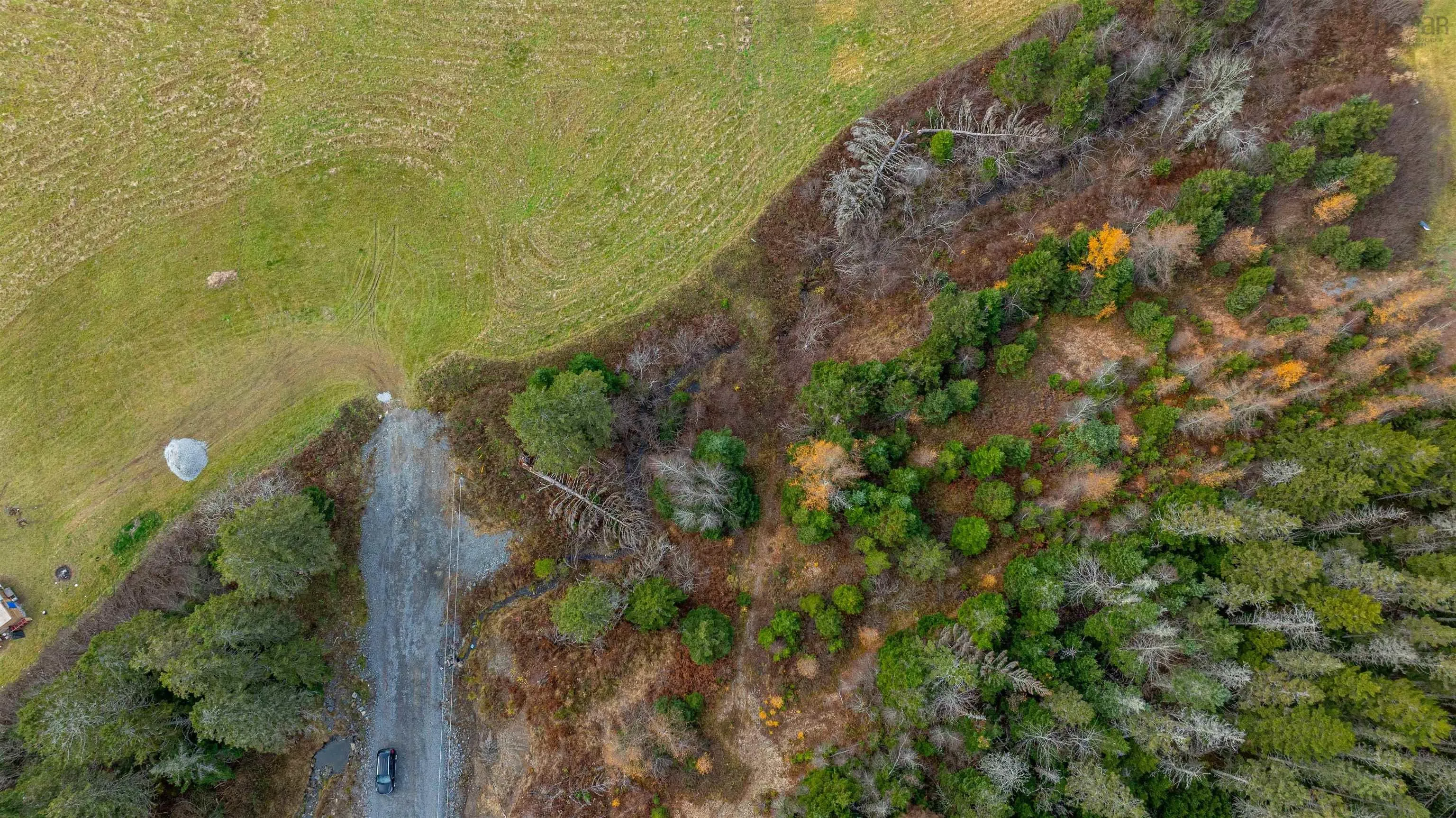 Danyella's Lane, South Rawdon Ns B0n 1z0, ,Land,For Sale,Danyella's,202427116