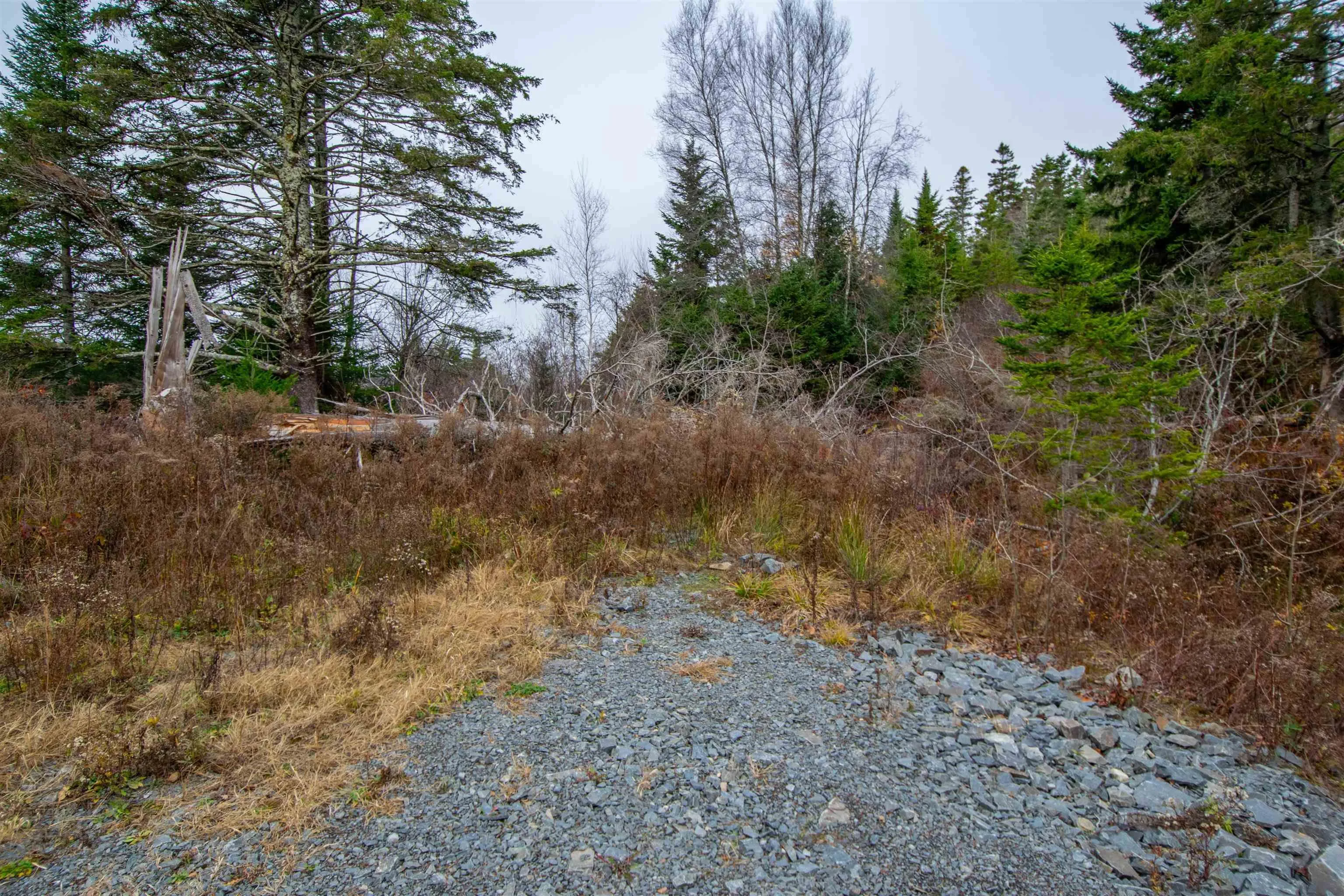 Danyella's Lane, South Rawdon Ns B0n 1z0, ,Land,For Sale,Danyella's,202427116
