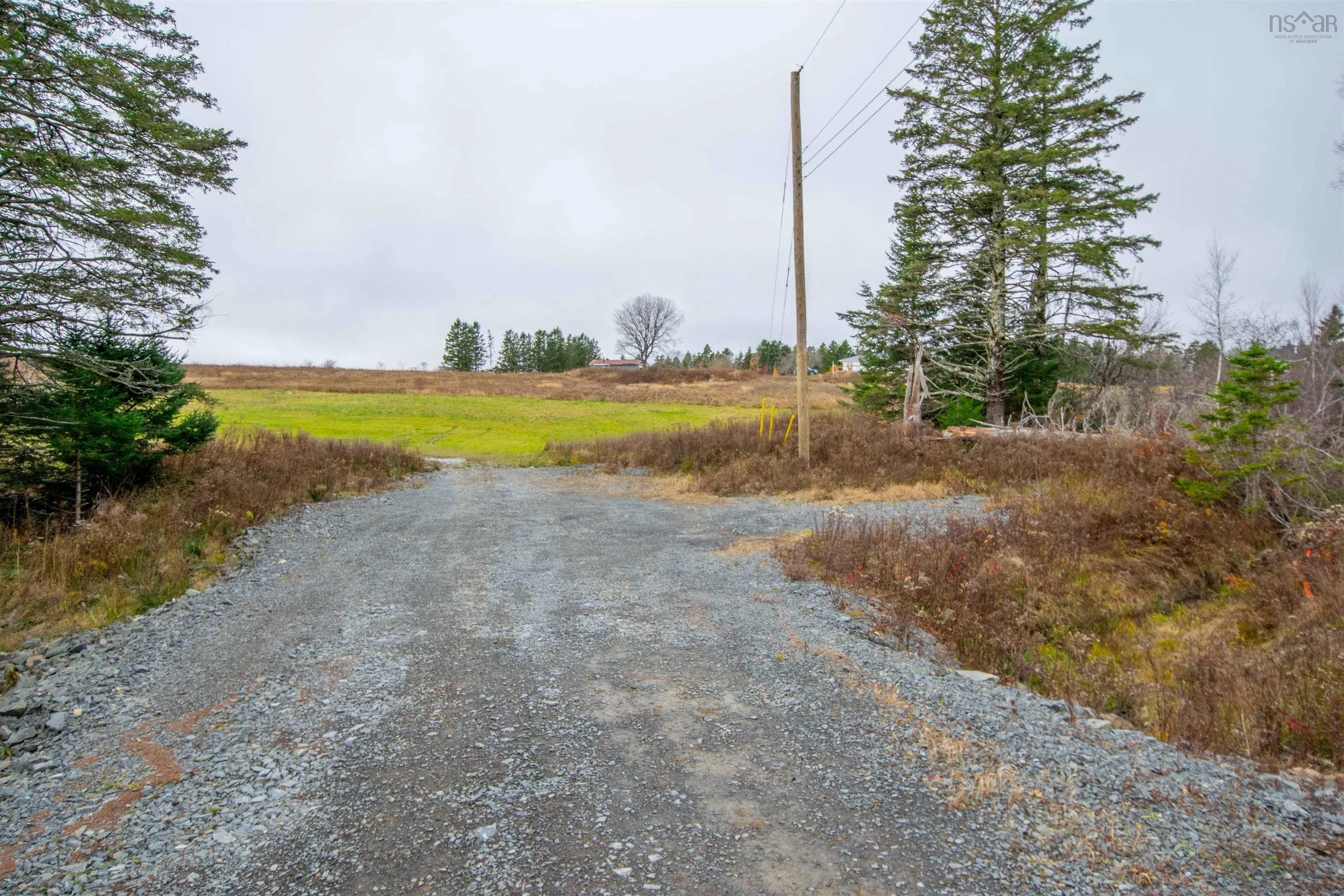 Danyella's Lane, South Rawdon Ns B0n 1z0, ,Land,For Sale,Danyella's,202427116