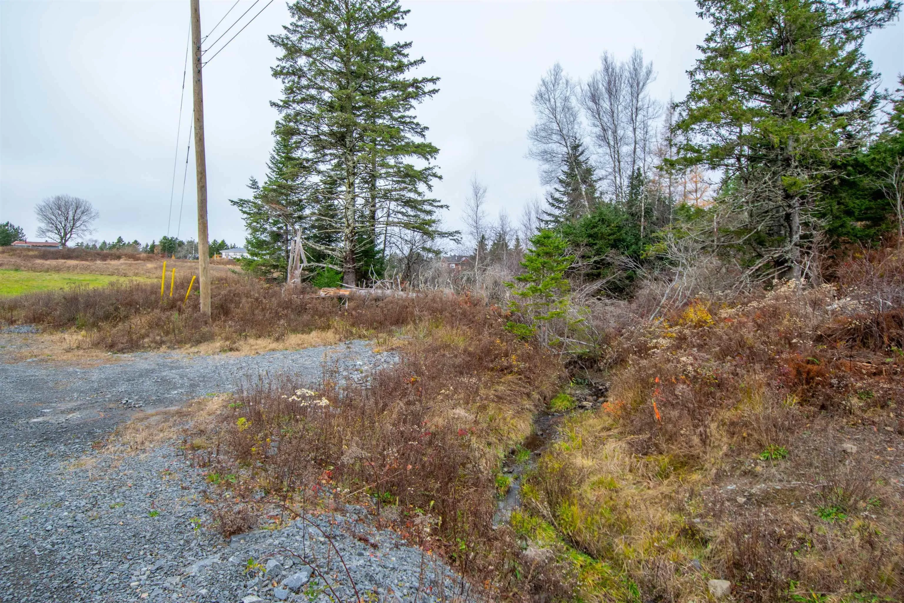 Danyella's Lane, South Rawdon Ns B0n 1z0, ,Land,For Sale,Danyella's,202427116