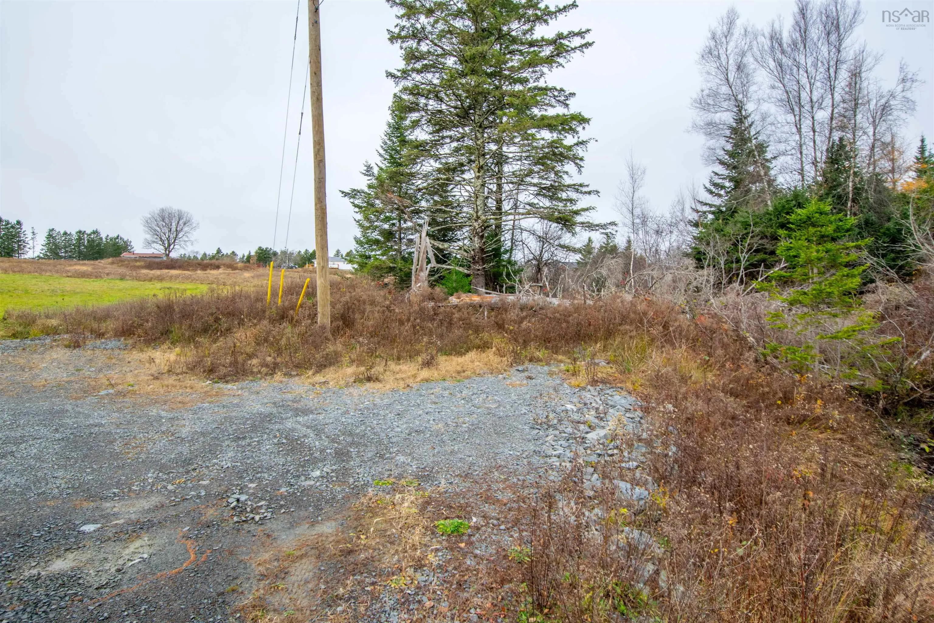 Danyella's Lane, South Rawdon Ns B0n 1z0, ,Land,For Sale,Danyella's,202427116