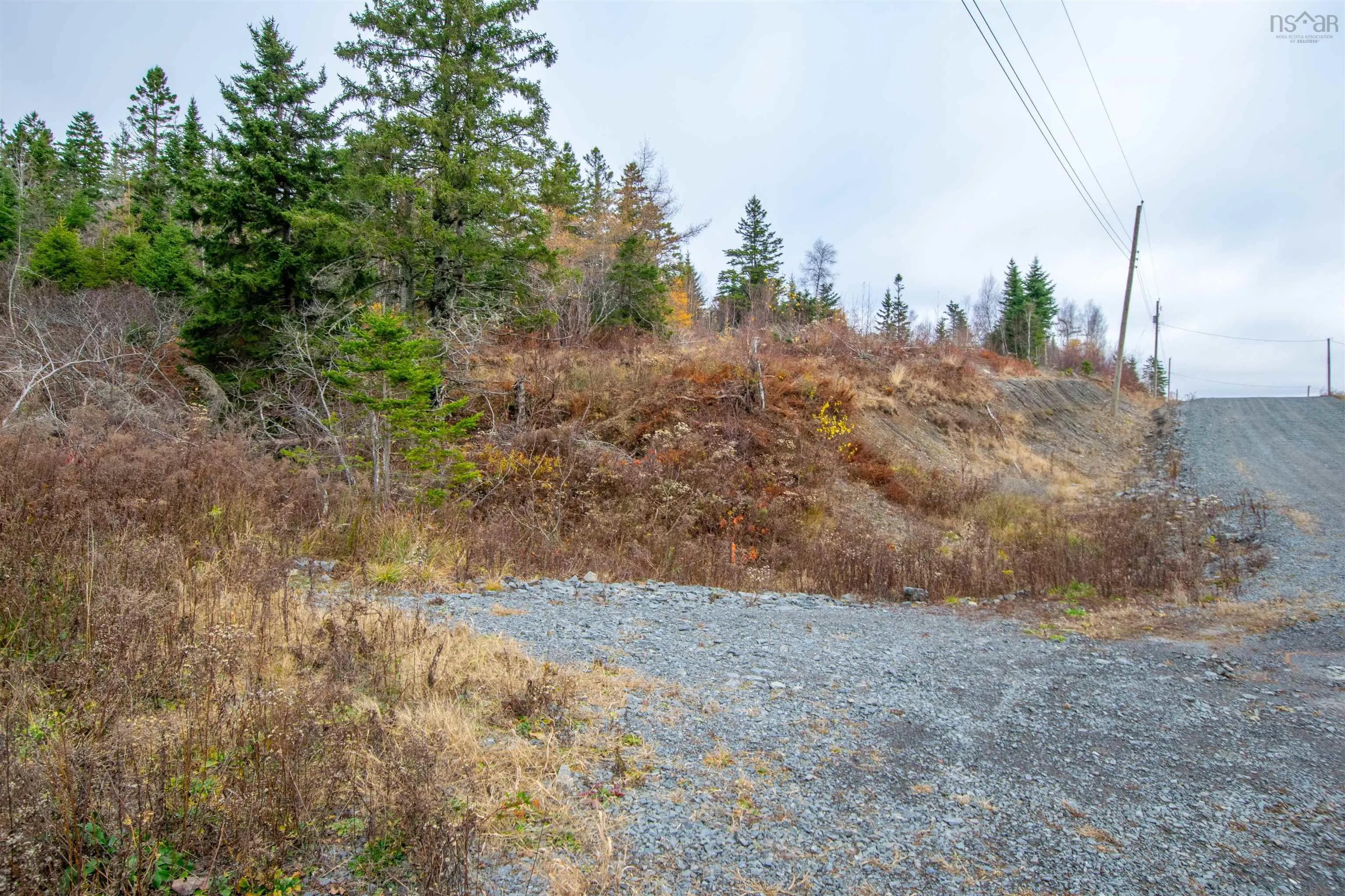 Danyella's Lane, South Rawdon Ns B0n 1z0, ,Land,For Sale,Danyella's,202427116
