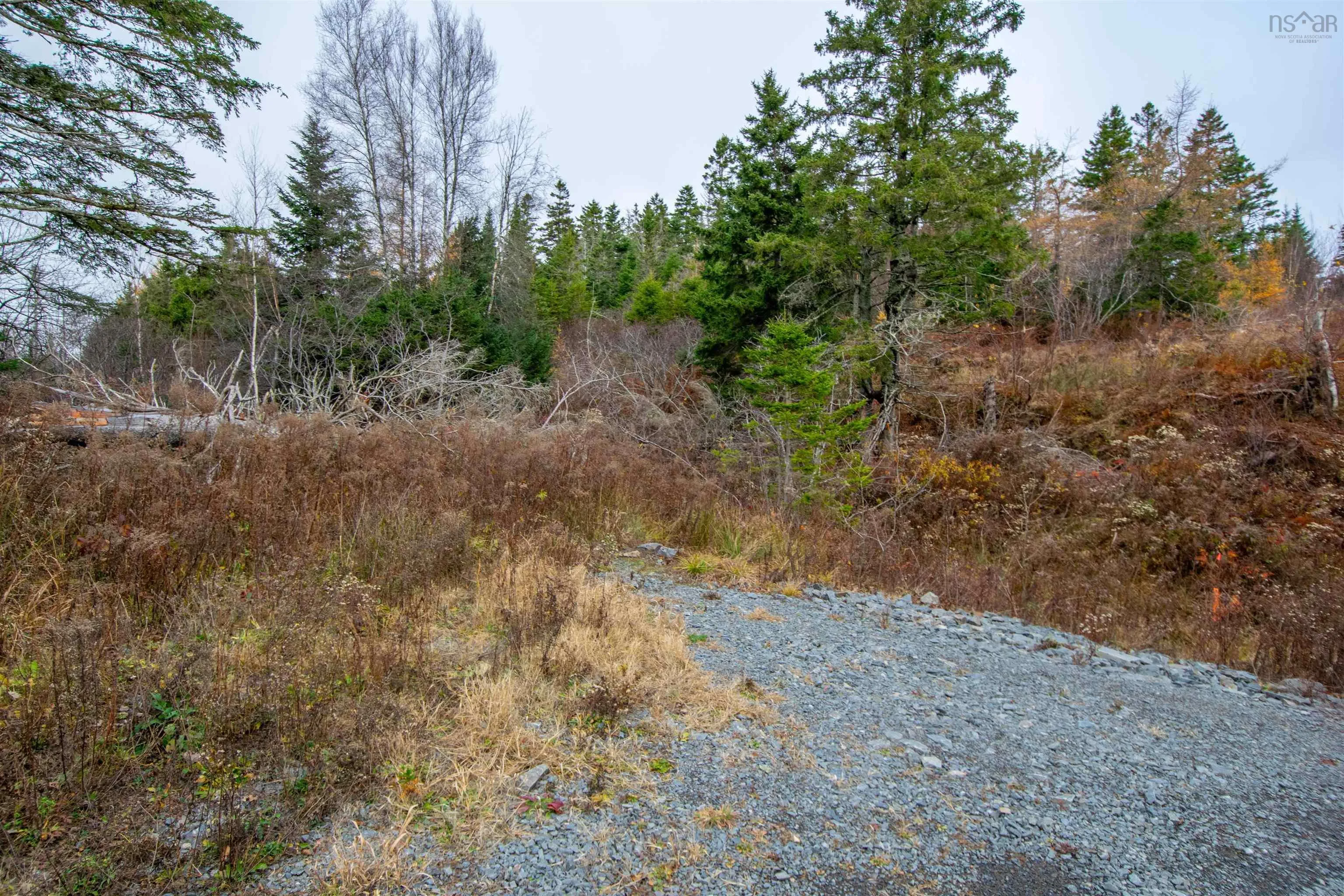Danyella's Lane, South Rawdon Ns B0n 1z0, ,Land,For Sale,Danyella's,202427116