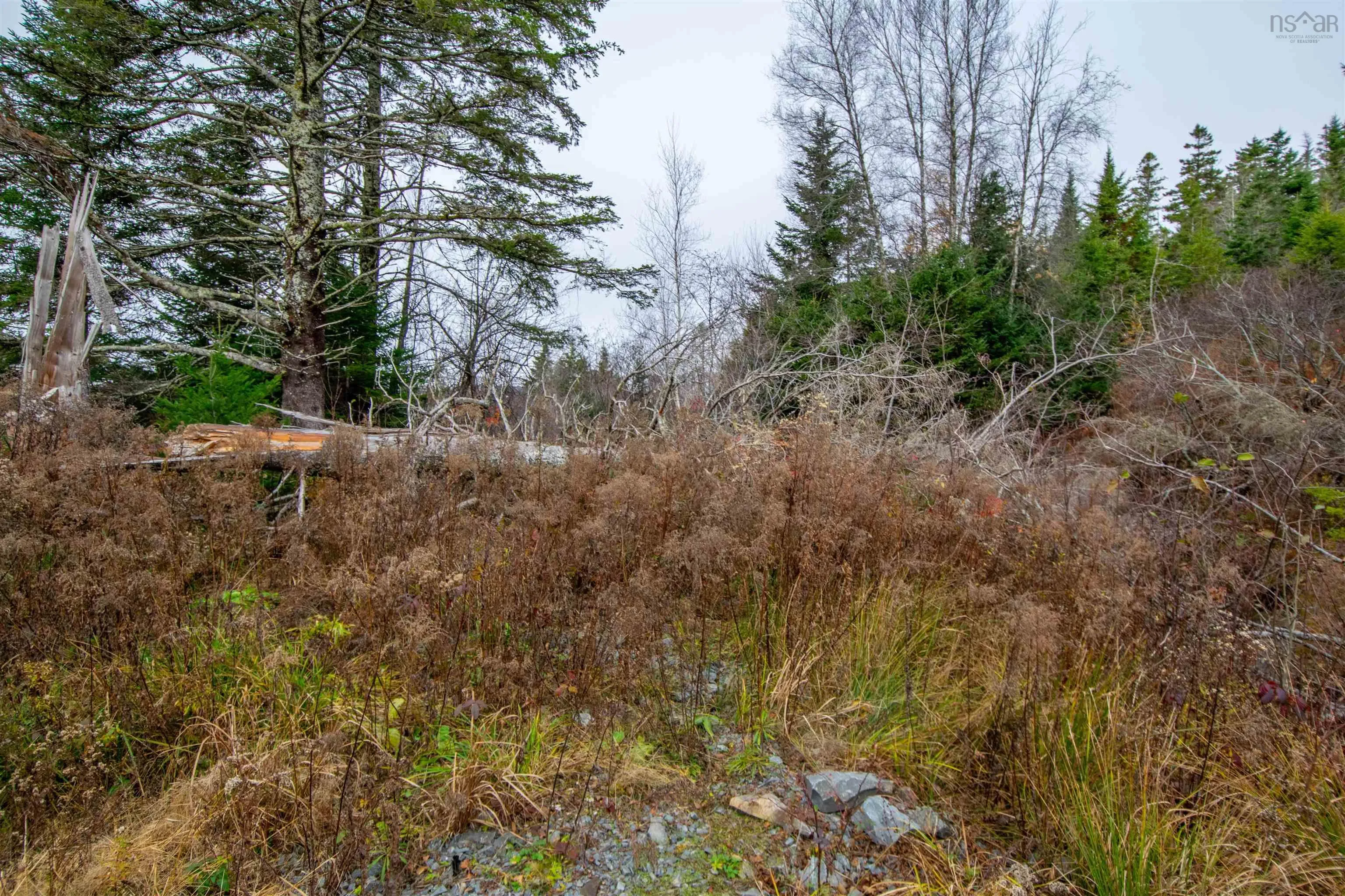 Danyella's Lane, South Rawdon Ns B0n 1z0, ,Land,For Sale,Danyella's,202427116