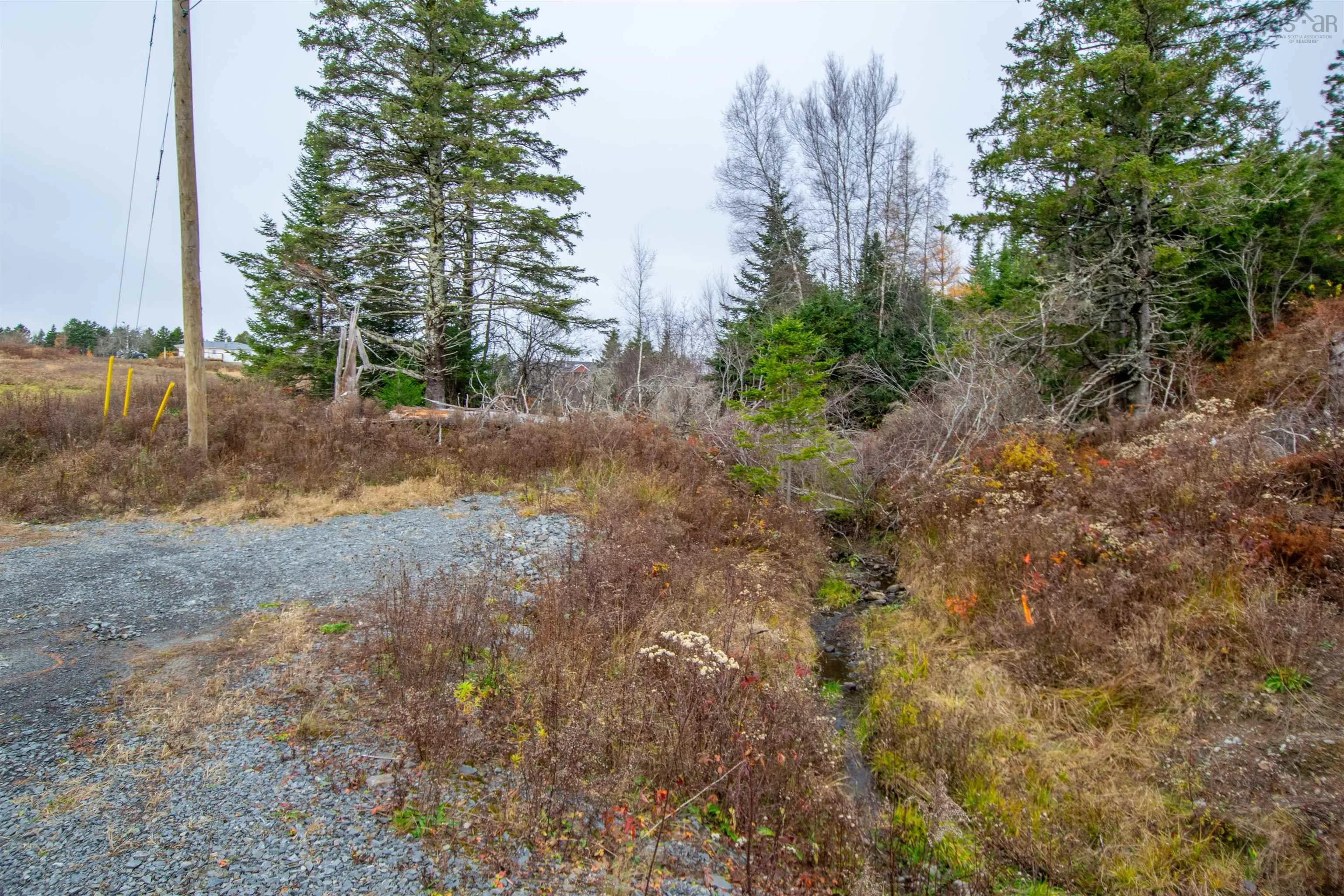 Danyella's Lane, South Rawdon Ns B0n 1z0, ,Land,For Sale,Danyella's,202427116