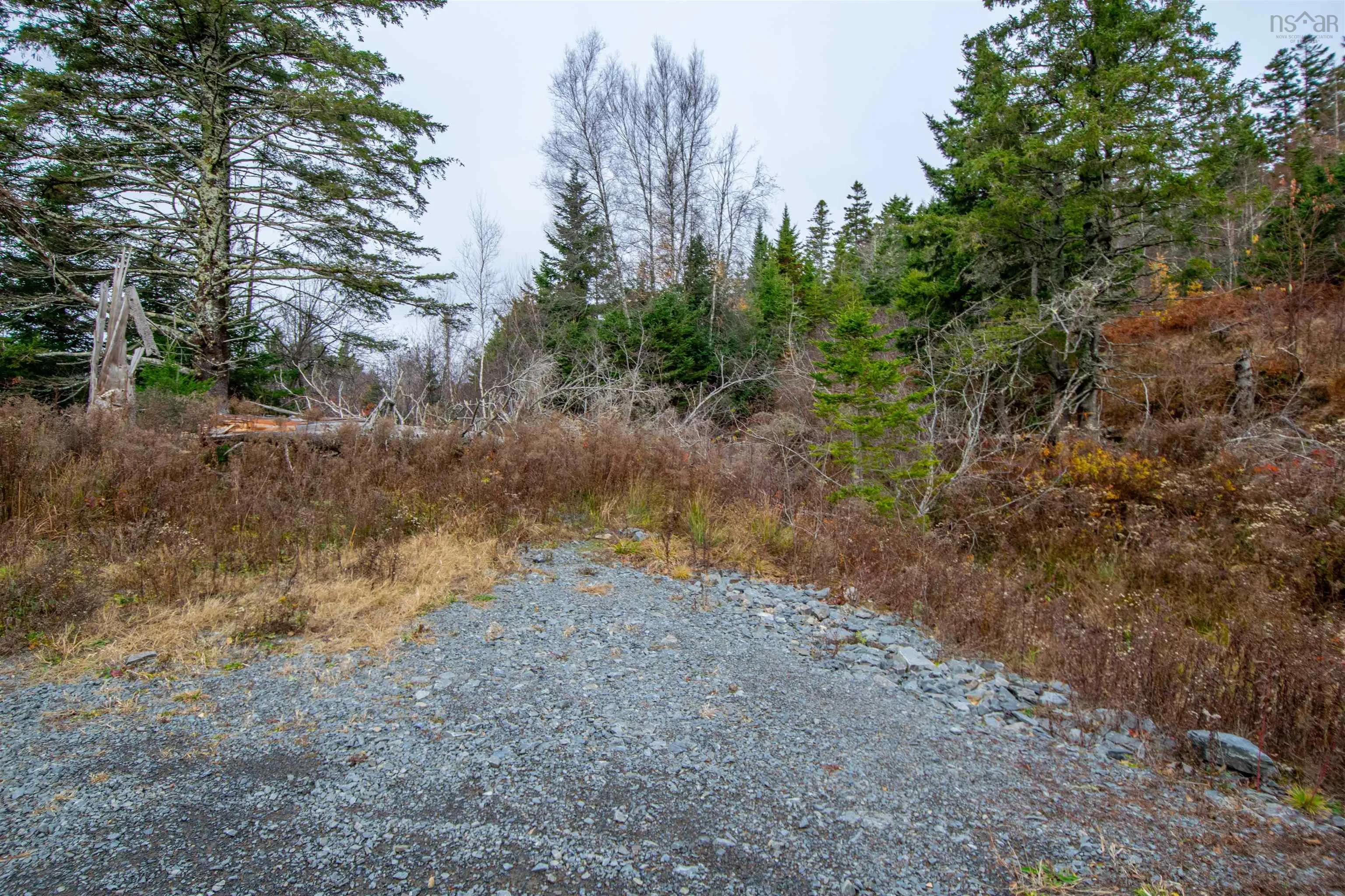 Danyella's Lane, South Rawdon Ns B0n 1z0, ,Land,For Sale,Danyella's,202427116