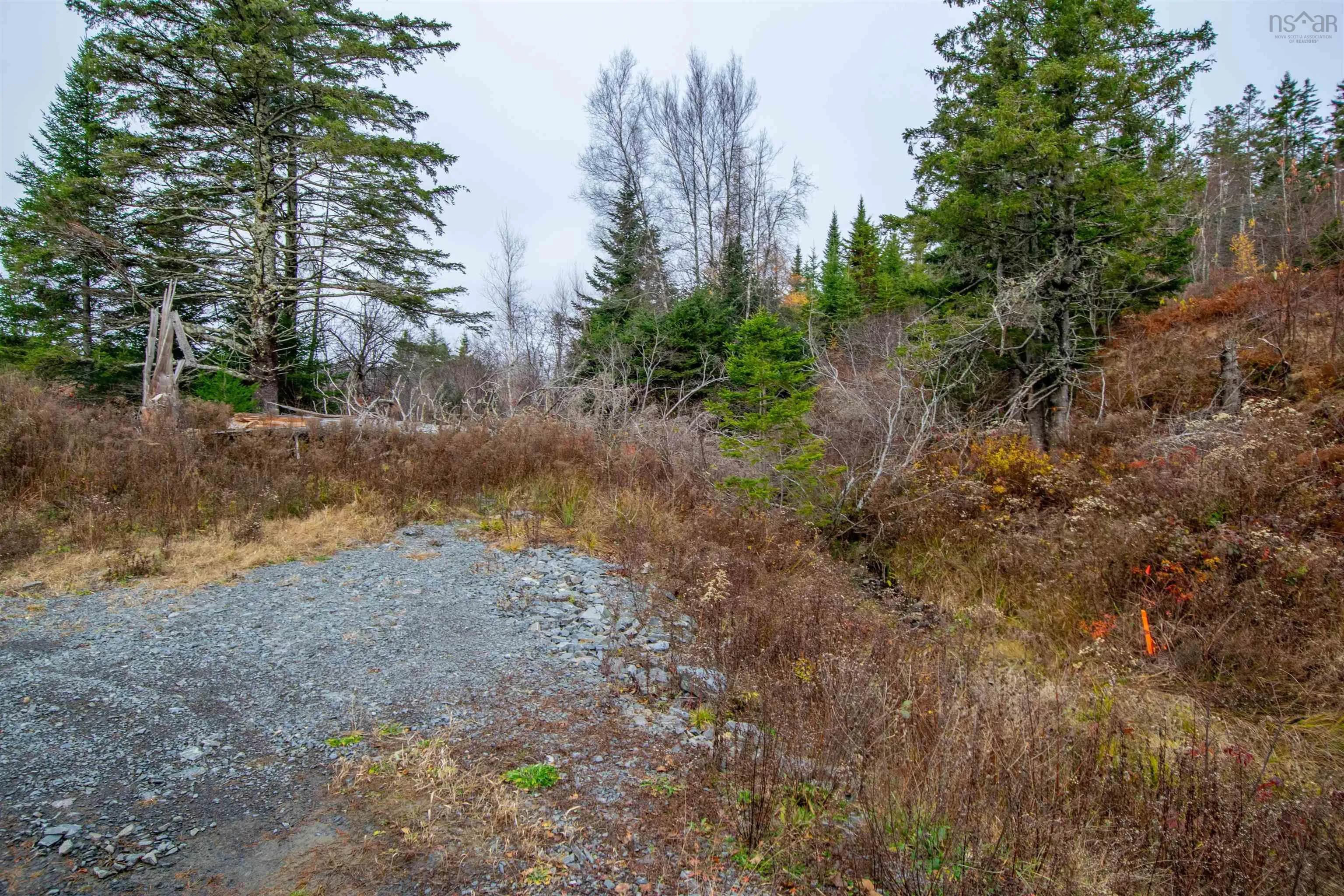 Danyella's Lane, South Rawdon Ns B0n 1z0, ,Land,For Sale,Danyella's,202427116
