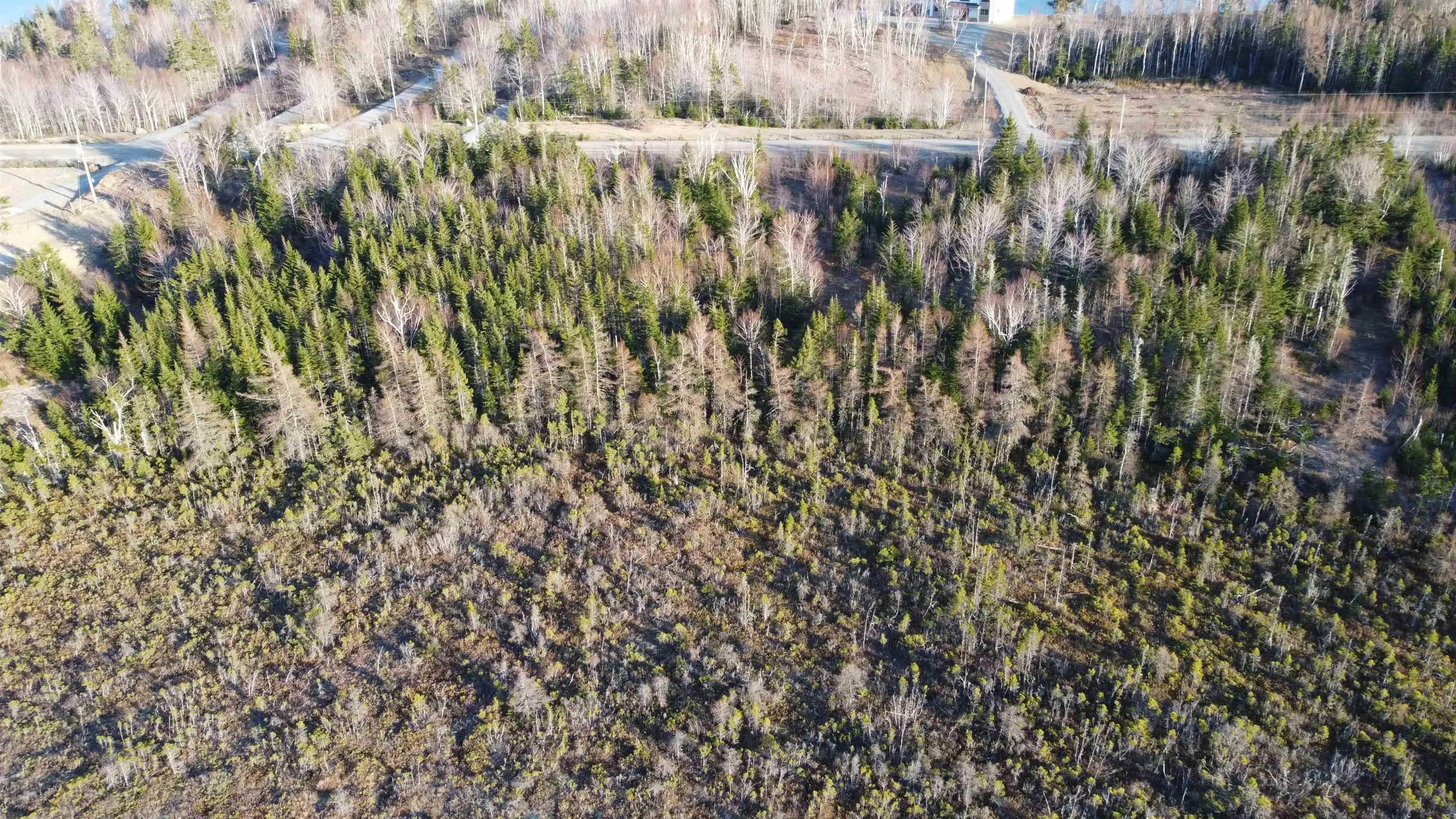 Shieling Drive, Marion Bridge Ns B1k 0b3, ,Land,For Sale,Shieling,202424576