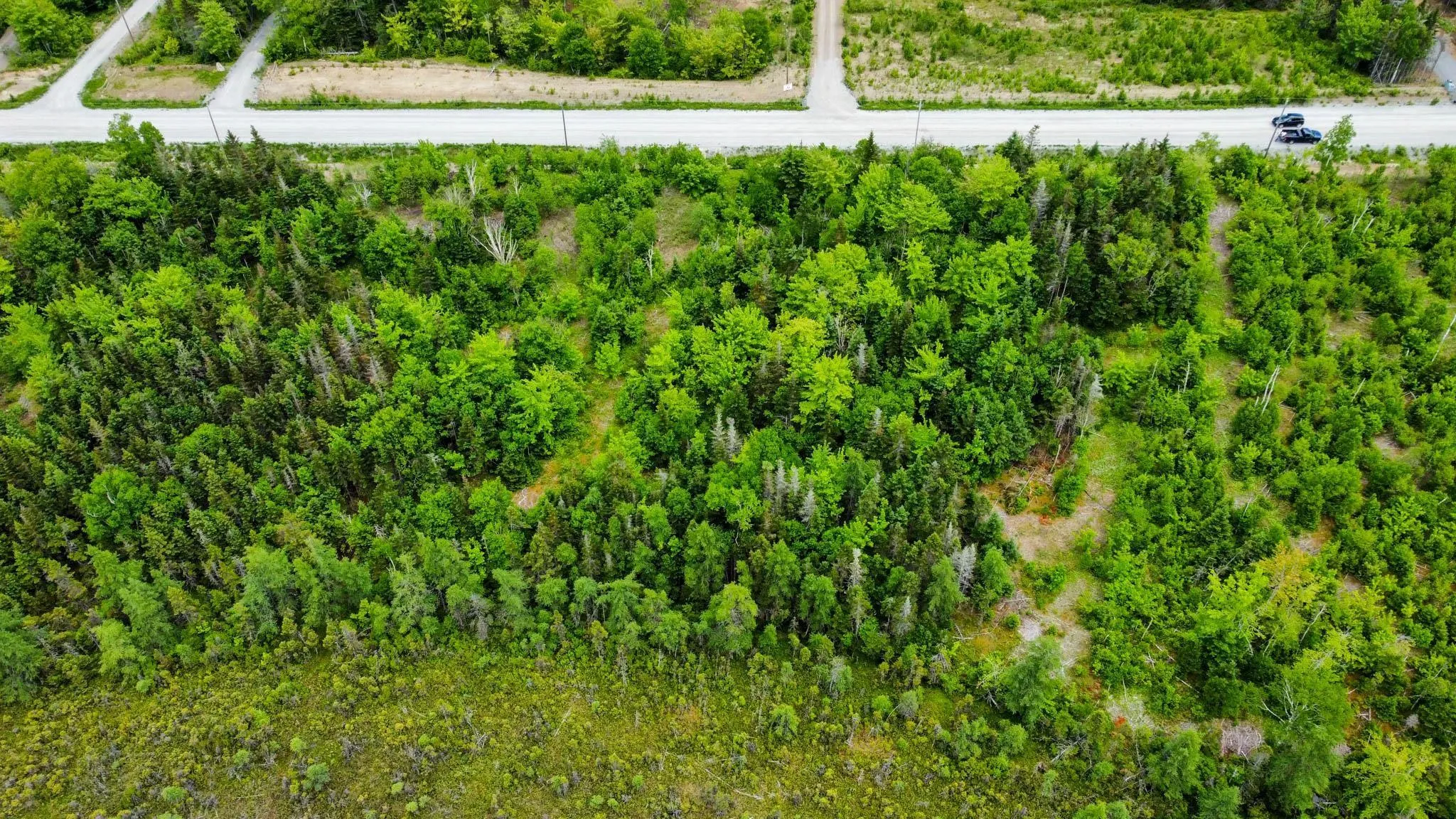 Shieling Drive, Marion Bridge Ns B1k 0b3, ,Land,For Sale,Shieling,202424576