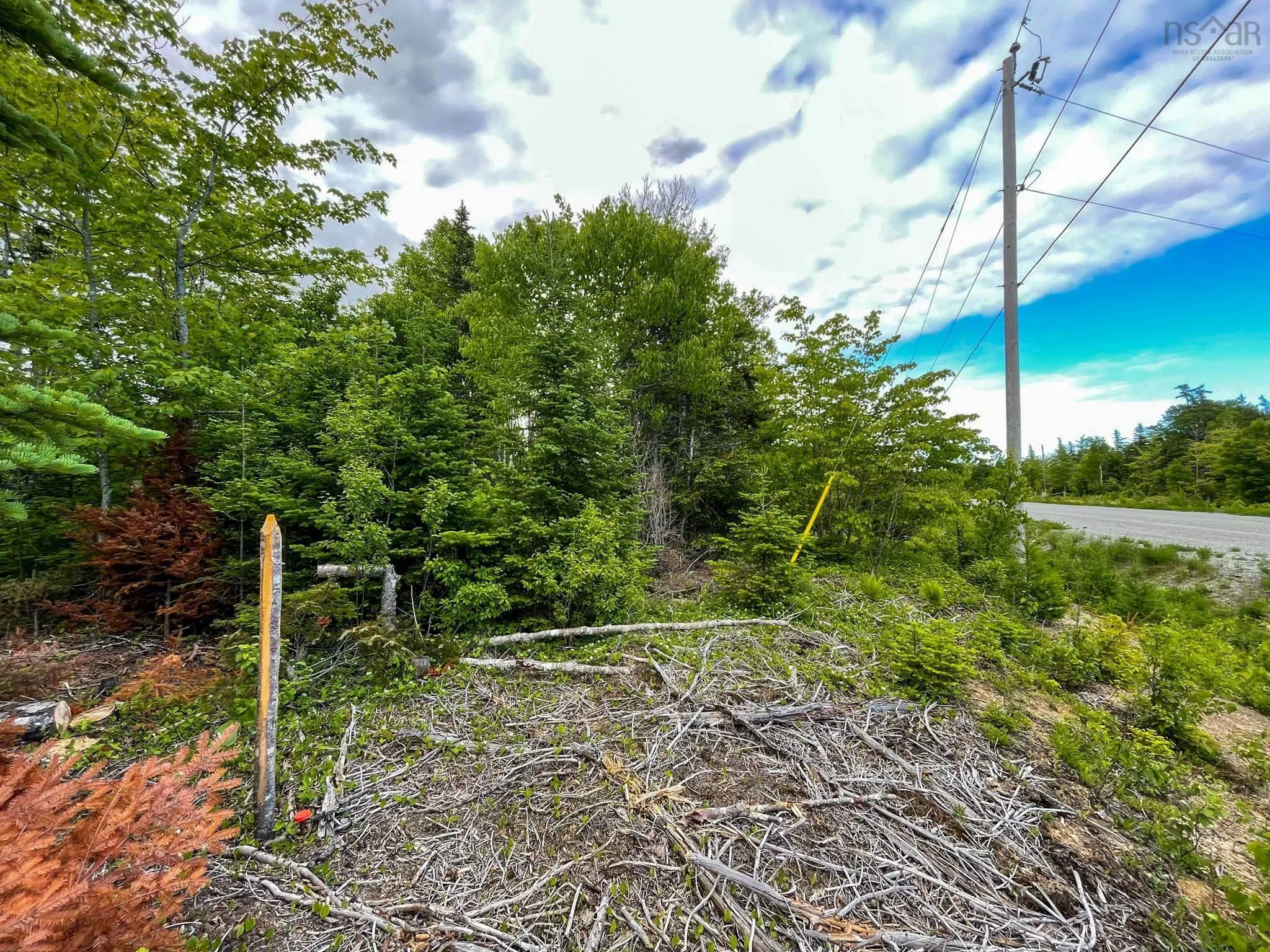 Shieling Drive, Marion Bridge Ns B1k 0b3, ,Land,For Sale,Shieling,202424576