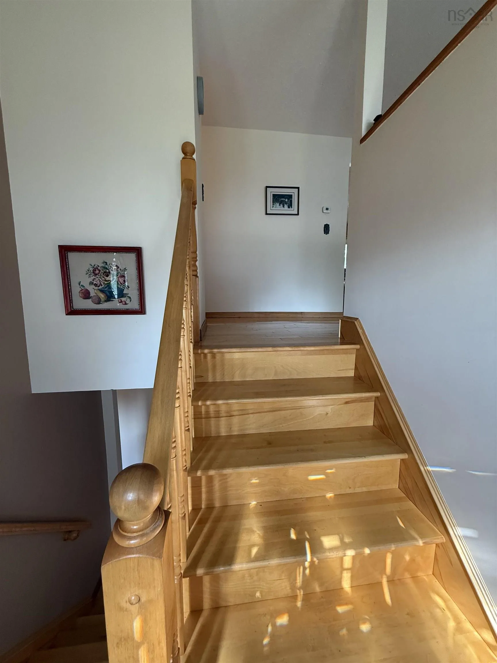 19 Eastwood Court, Cole Harbour, NS B2W 4J3, 5 Bedrooms Bedrooms, ,2 BathroomsBathrooms,Residential,For Sale,Eastwood,202523921