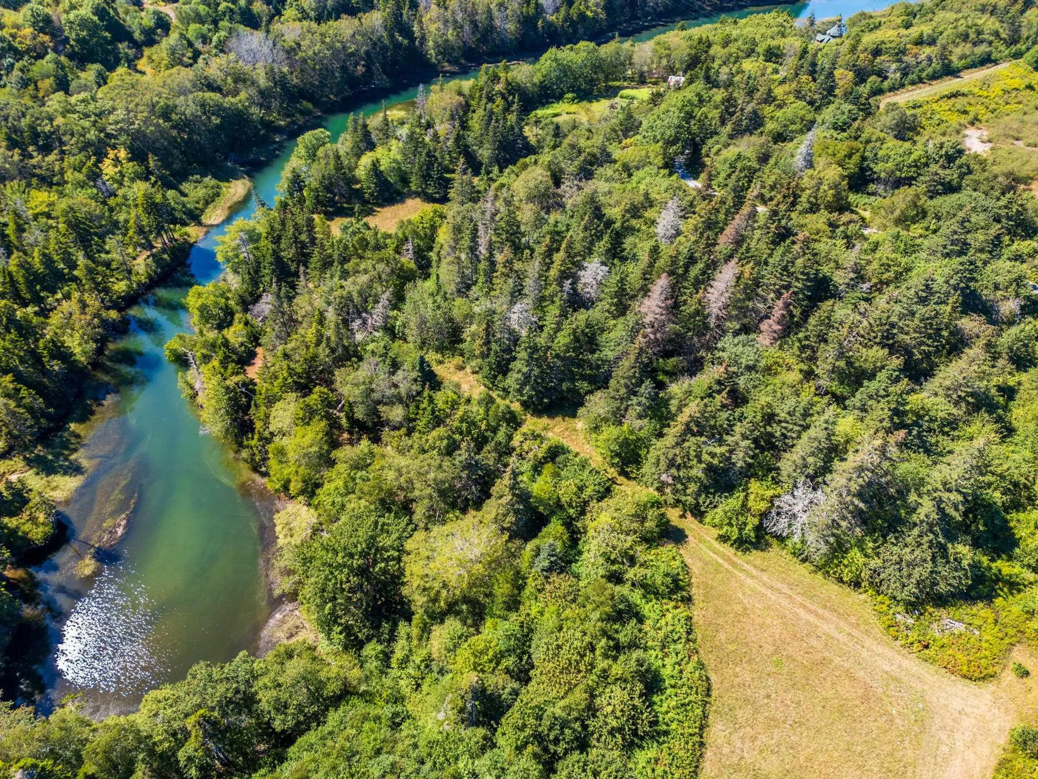 283 Dentremont Rd, Meteghan River, NS B0W 2L0, ,Land,For Sale,Dentremont Rd,202523169