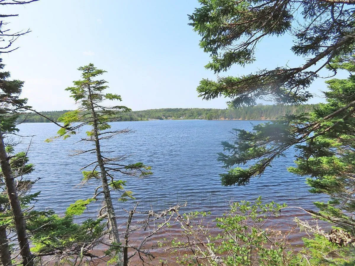 83.9 Acres Grand Mira South Road, Grand Mira South Ns B1k 1h2, ,Land,For Sale,Grand Mira South,202420417