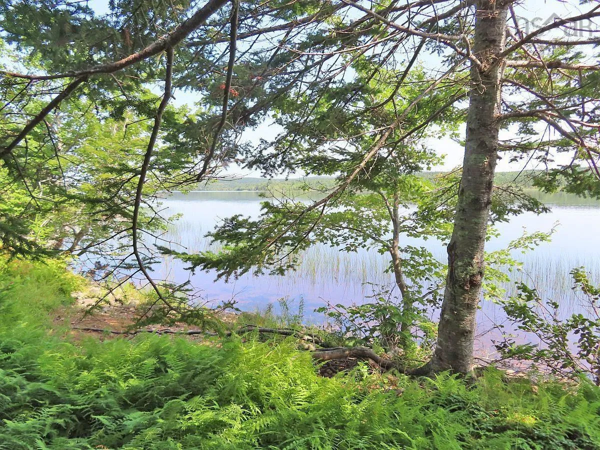 83.9 Acres Grand Mira South Road, Grand Mira South Ns B1k 1h2, ,Land,For Sale,Grand Mira South,202420417