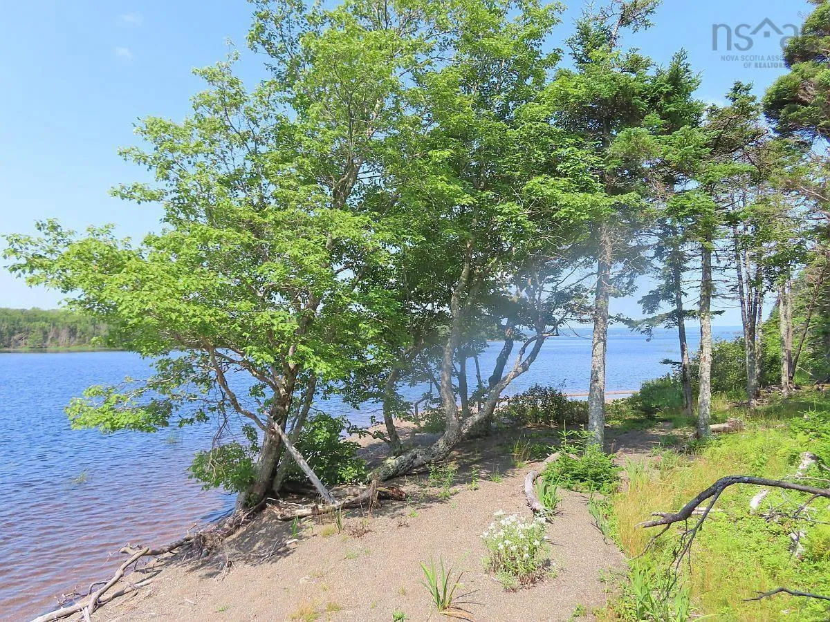 83.9 Acres Grand Mira South Road, Grand Mira South Ns B1k 1h2, ,Land,For Sale,Grand Mira South,202420417