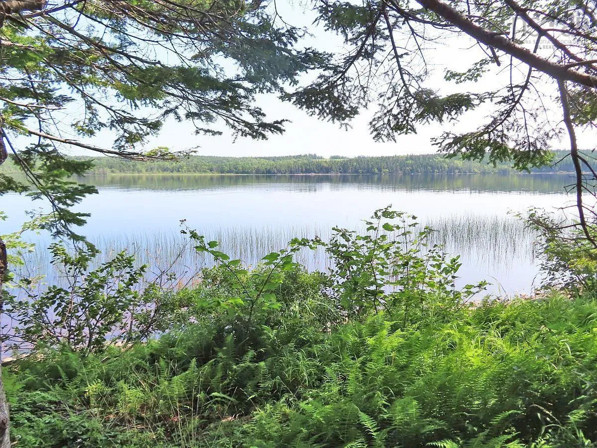 83.9 Acres Grand Mira South Road, Grand Mira South Ns B1k 1h2, ,Land,For Sale,Grand Mira South,202420417