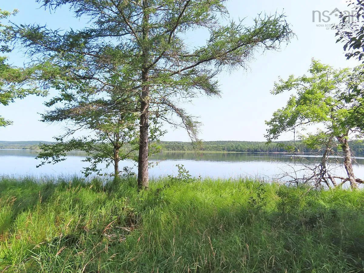 83.9 Acres Grand Mira South Road, Grand Mira South Ns B1k 1h2, ,Land,For Sale,Grand Mira South,202420417