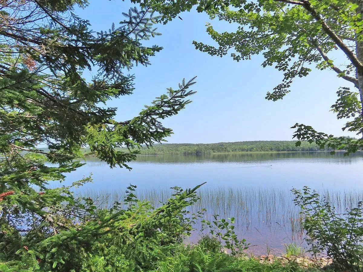 83.9 Acres Grand Mira South Road, Grand Mira South Ns B1k 1h2, ,Land,For Sale,Grand Mira South,202420417