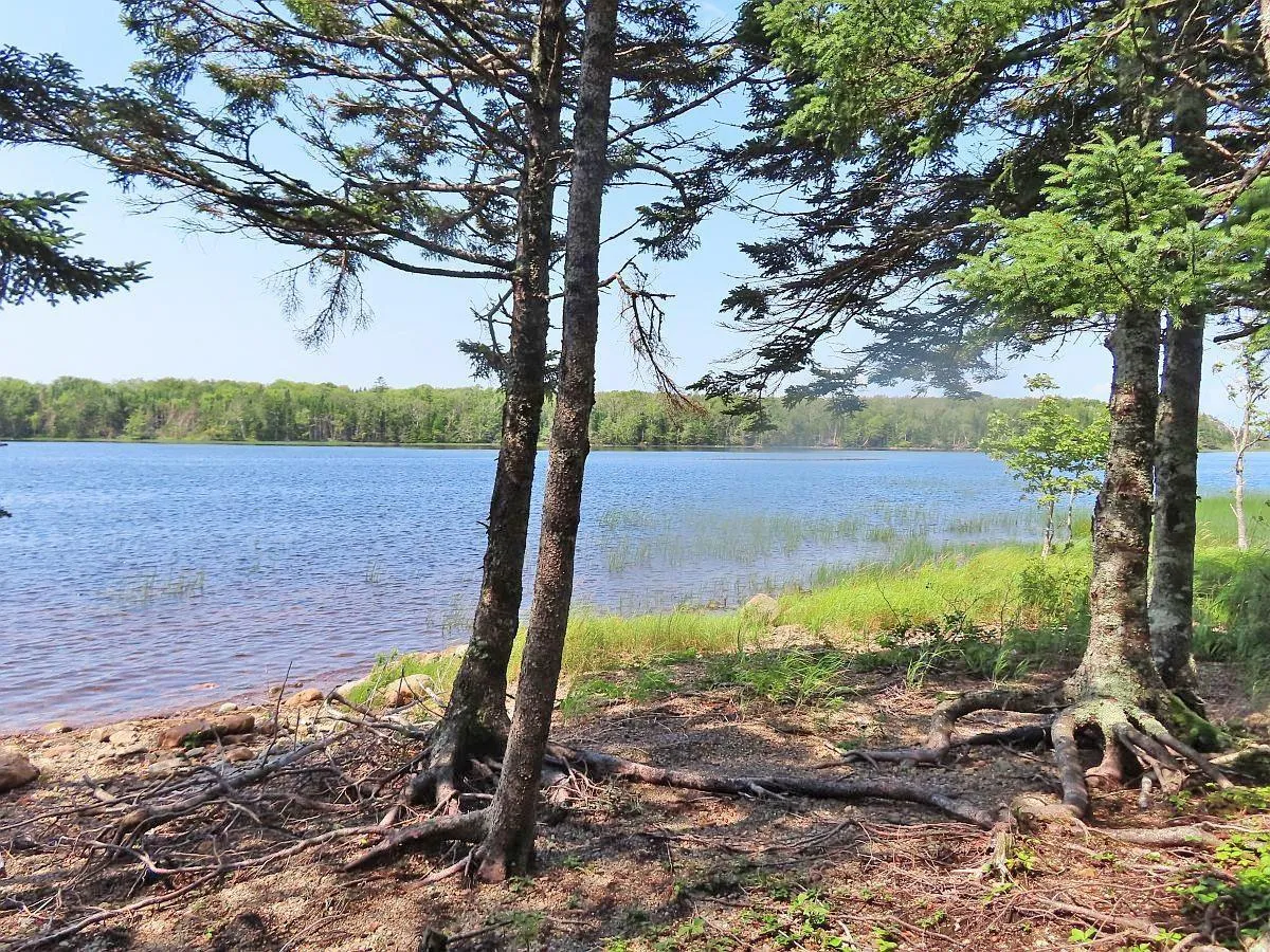 83.9 Acres Grand Mira South Road, Grand Mira South Ns B1k 1h2, ,Land,For Sale,Grand Mira South,202420417