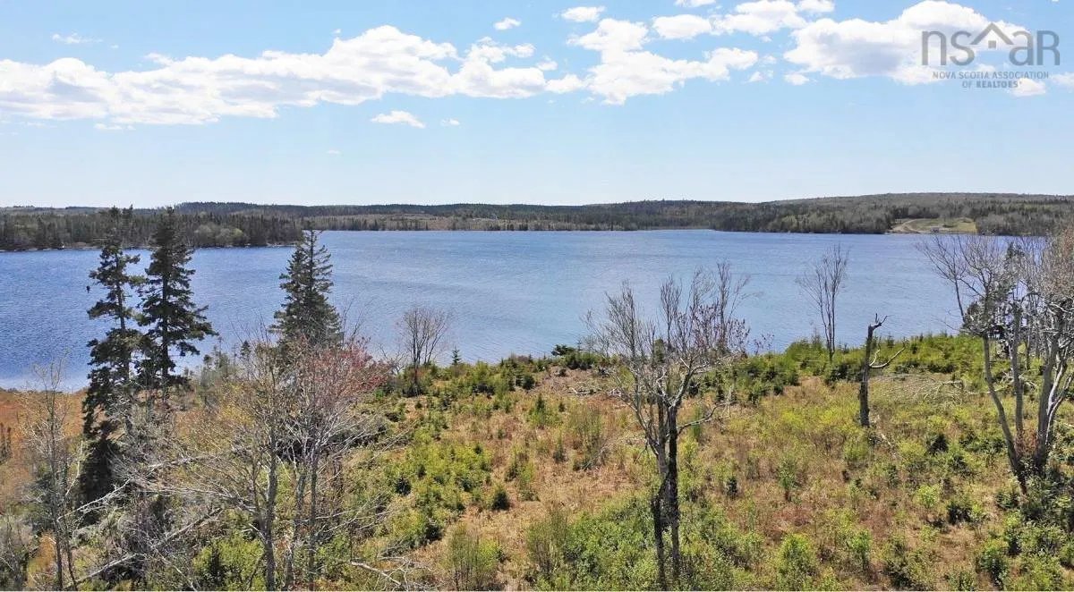 83.9 Acres Grand Mira South Road, Grand Mira South Ns B1k 1h2, ,Land,For Sale,Grand Mira South,202420417