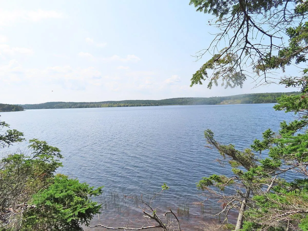 83.9 Acres Grand Mira South Road, Grand Mira South Ns B1k 1h2, ,Land,For Sale,Grand Mira South,202420417