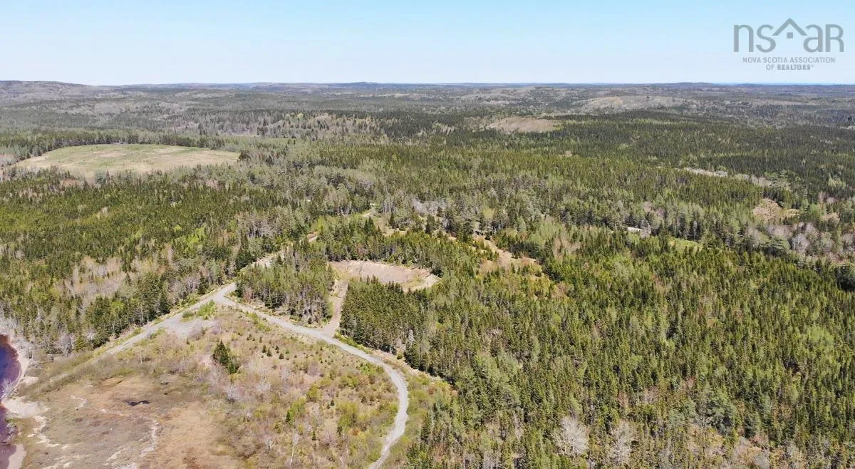83.9 Acres Grand Mira South Road, Grand Mira South Ns B1k 1h2, ,Land,For Sale,Grand Mira South,202420417