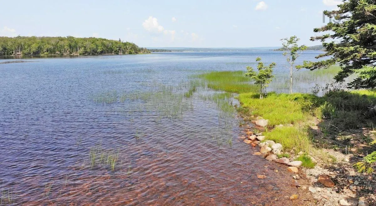 83.9 Acres Grand Mira South Road, Grand Mira South Ns B1k 1h2, ,Land,For Sale,Grand Mira South,202420417