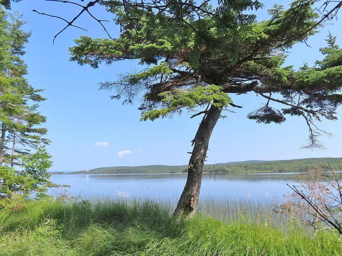 83.9 Acres Grand Mira South Road, Grand Mira South Ns B1k 1h2, ,Land,For Sale,Grand Mira South,202420417