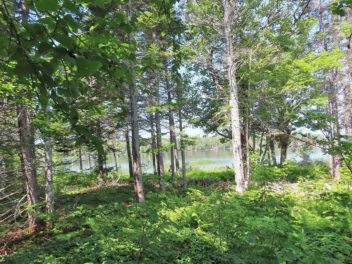 83.9 Acres Grand Mira South Road, Grand Mira South Ns B1k 1h2, ,Land,For Sale,Grand Mira South,202420417