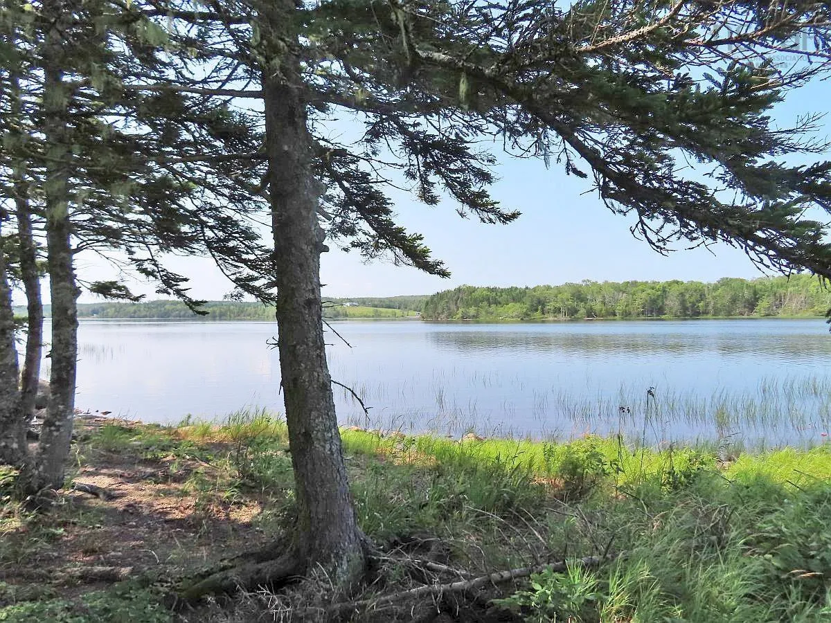 83.9 Acres Grand Mira South Road, Grand Mira South Ns B1k 1h2, ,Land,For Sale,Grand Mira South,202420417