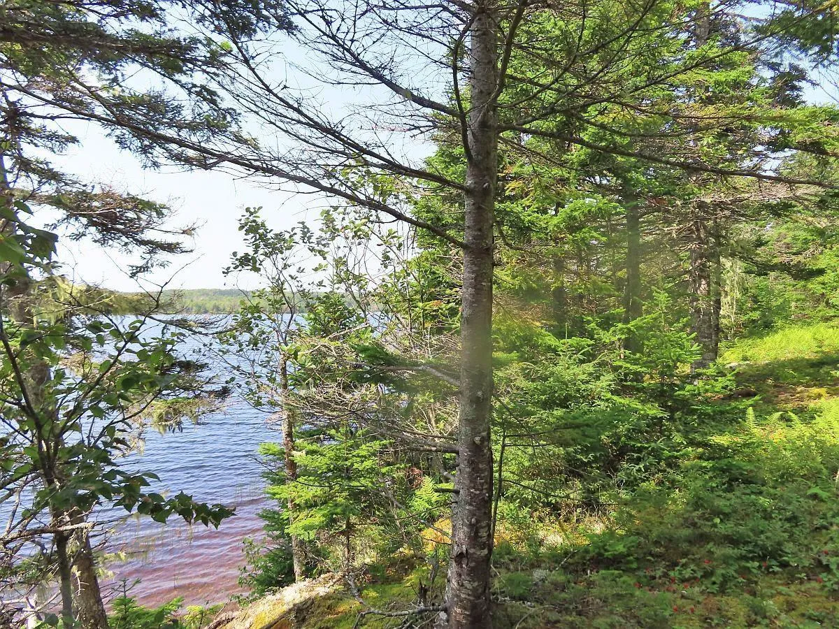 83.9 Acres Grand Mira South Road, Grand Mira South Ns B1k 1h2, ,Land,For Sale,Grand Mira South,202420417