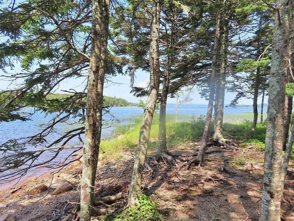 83.9 Acres Grand Mira South Road, Grand Mira South Ns B1k 1h2, ,Land,For Sale,Grand Mira South,202420417