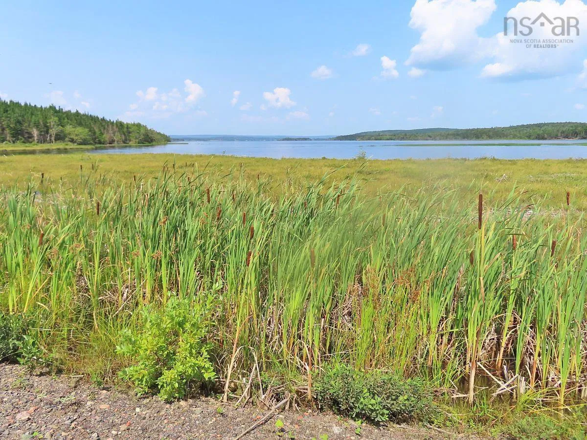 83.9 Acres Grand Mira South Road, Grand Mira South Ns B1k 1h2, ,Land,For Sale,Grand Mira South,202420417
