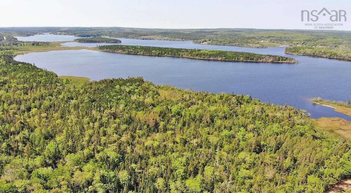 83.9 Acres Grand Mira South Road, Grand Mira South Ns B1k 1h2, ,Land,For Sale,Grand Mira South,202420417