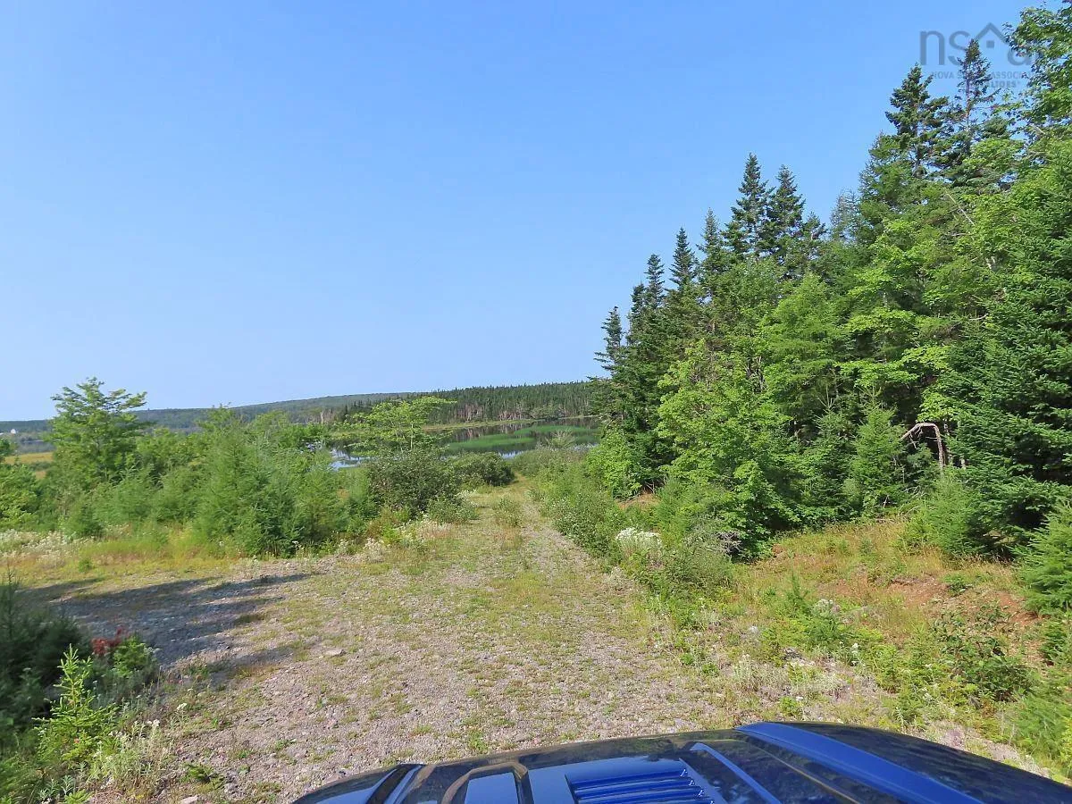 83.9 Acres Grand Mira South Road, Grand Mira South Ns B1k 1h2, ,Land,For Sale,Grand Mira South,202420417