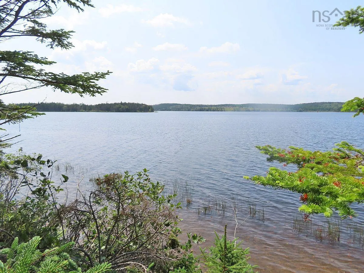 83.9 Acres Grand Mira South Road, Grand Mira South Ns B1k 1h2, ,Land,For Sale,Grand Mira South,202420417