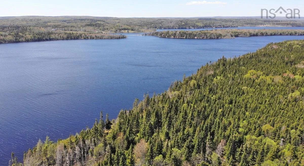 83.9 Acres Grand Mira South Road, Grand Mira South Ns B1k 1h2, ,Land,For Sale,Grand Mira South,202420417