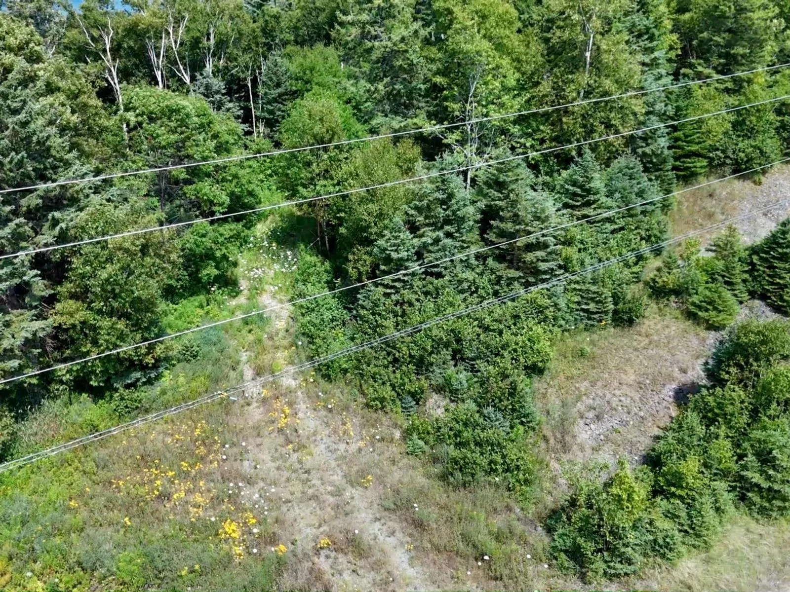 Lakeshore Drive W Lot 8, Irish Cove, NS B0E 3B0, ,Land,For Sale,Lakeshore,202519480
